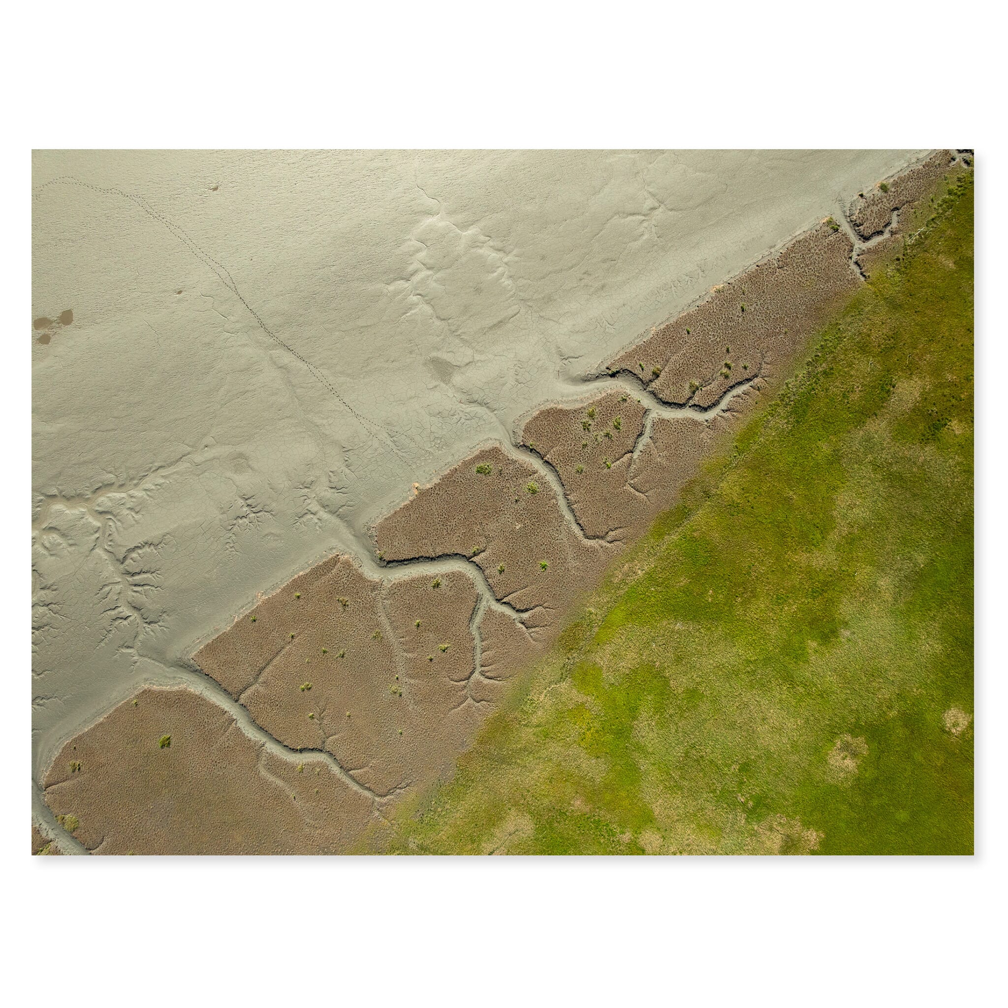 Fine art print of tidal landscapes in Alaska shaped by shifting water and sediment