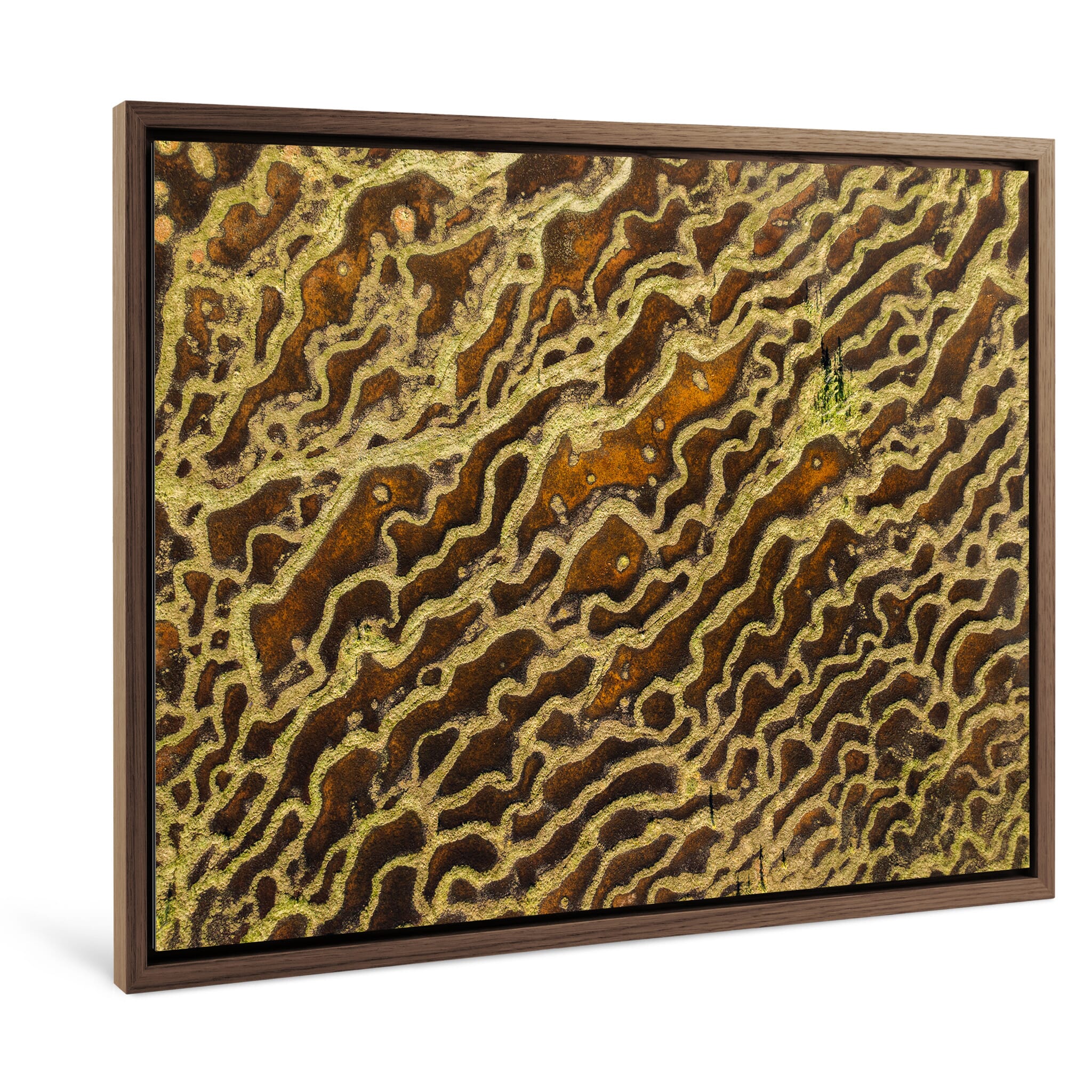 Framed photo print of contrasting hues and natural water patterns