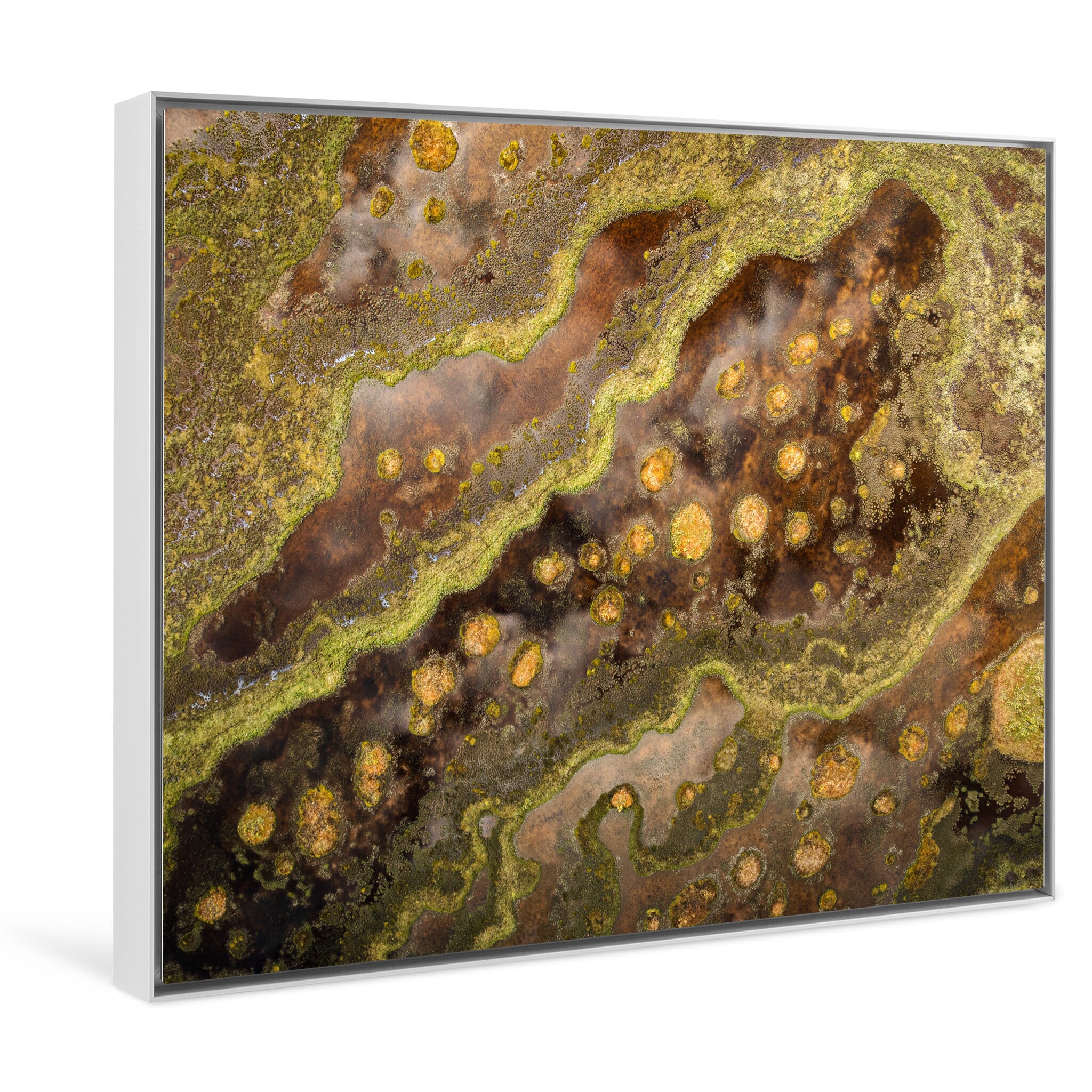 Framed photo print of Alaska’s wild and ever-shifting swamp landscape