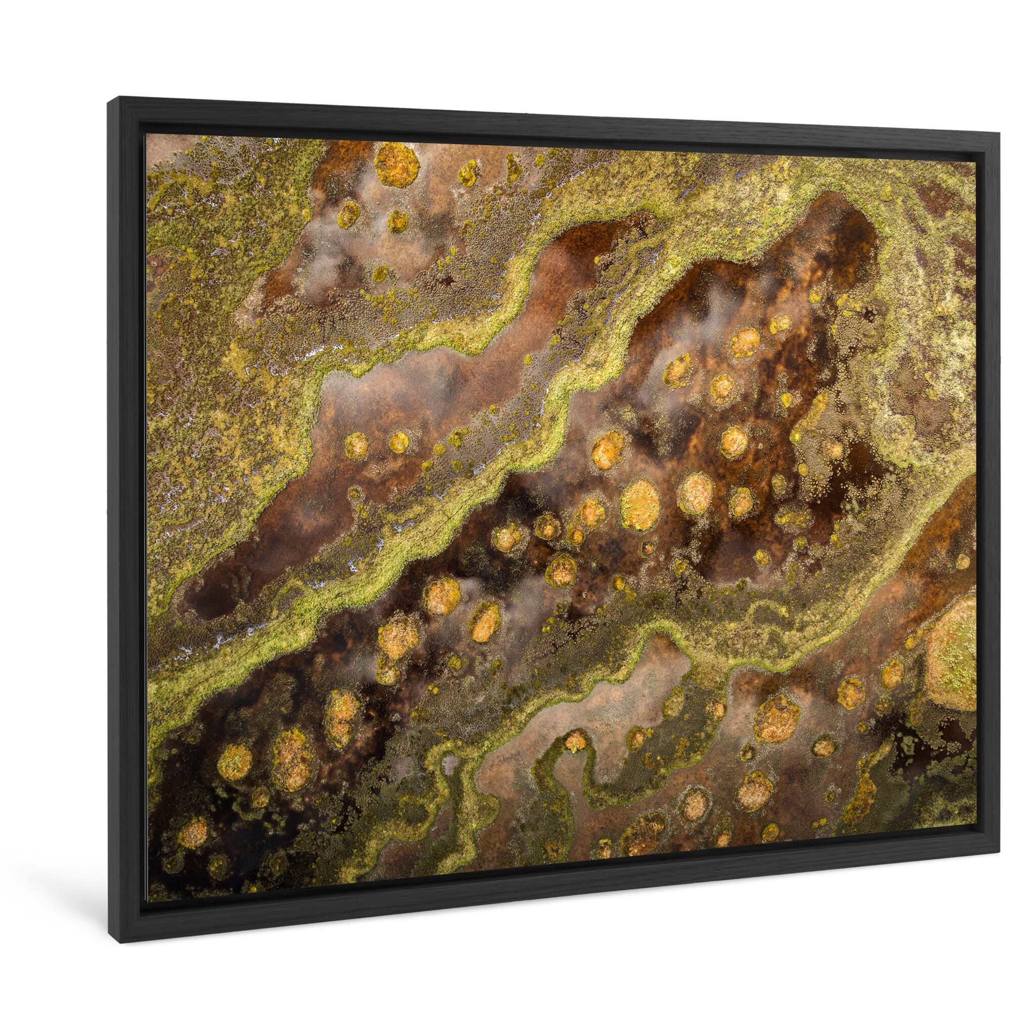 Framed photo print of seasonal wetland patterns with green moss and dark water