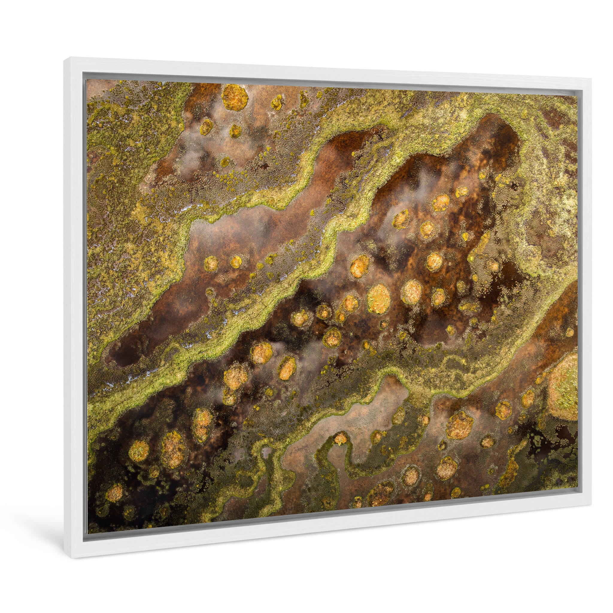 Framed photo print of vibrant contrasts between sediment and vegetation