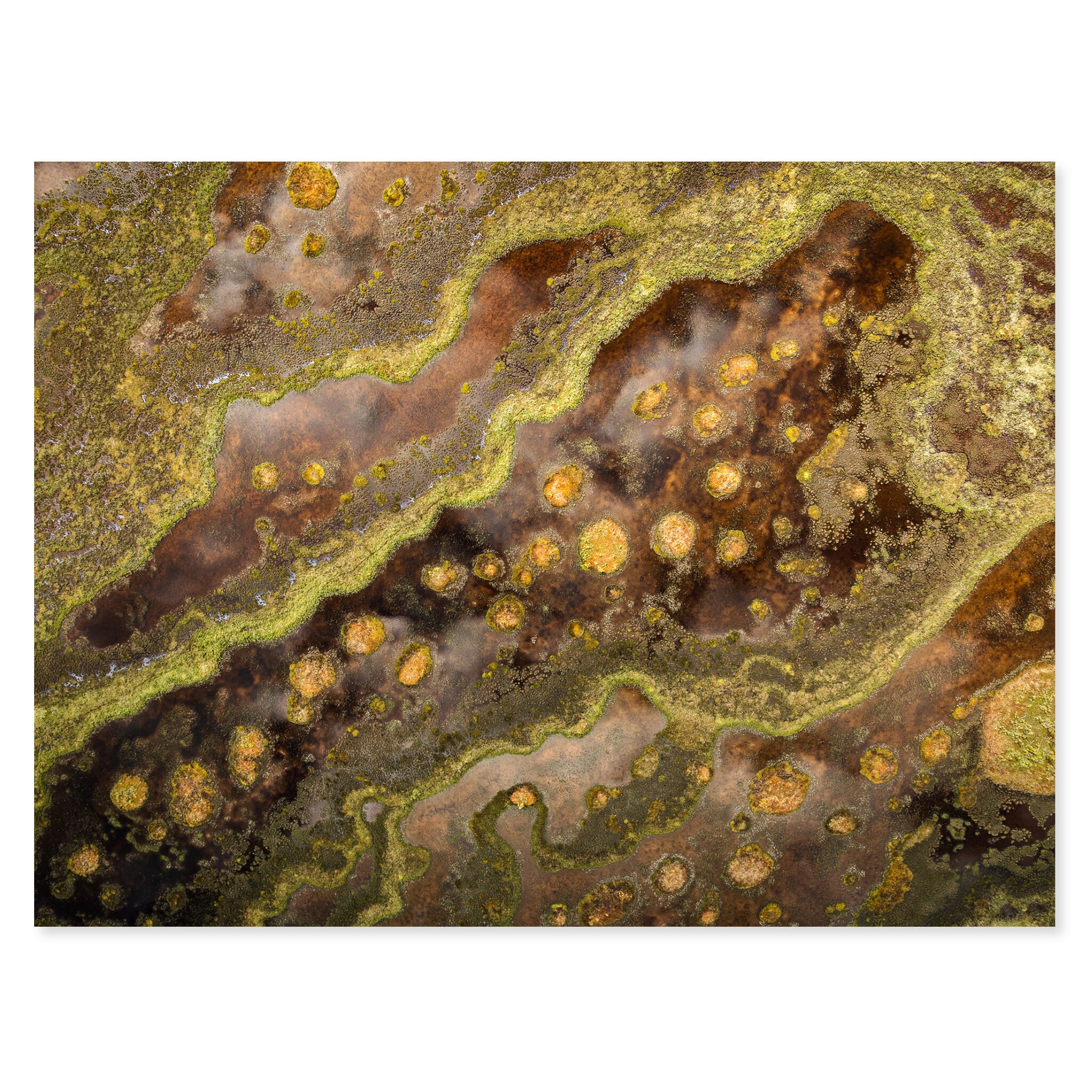 Fine art print of swamplands near Talkeetna with meandering channels and dark pools