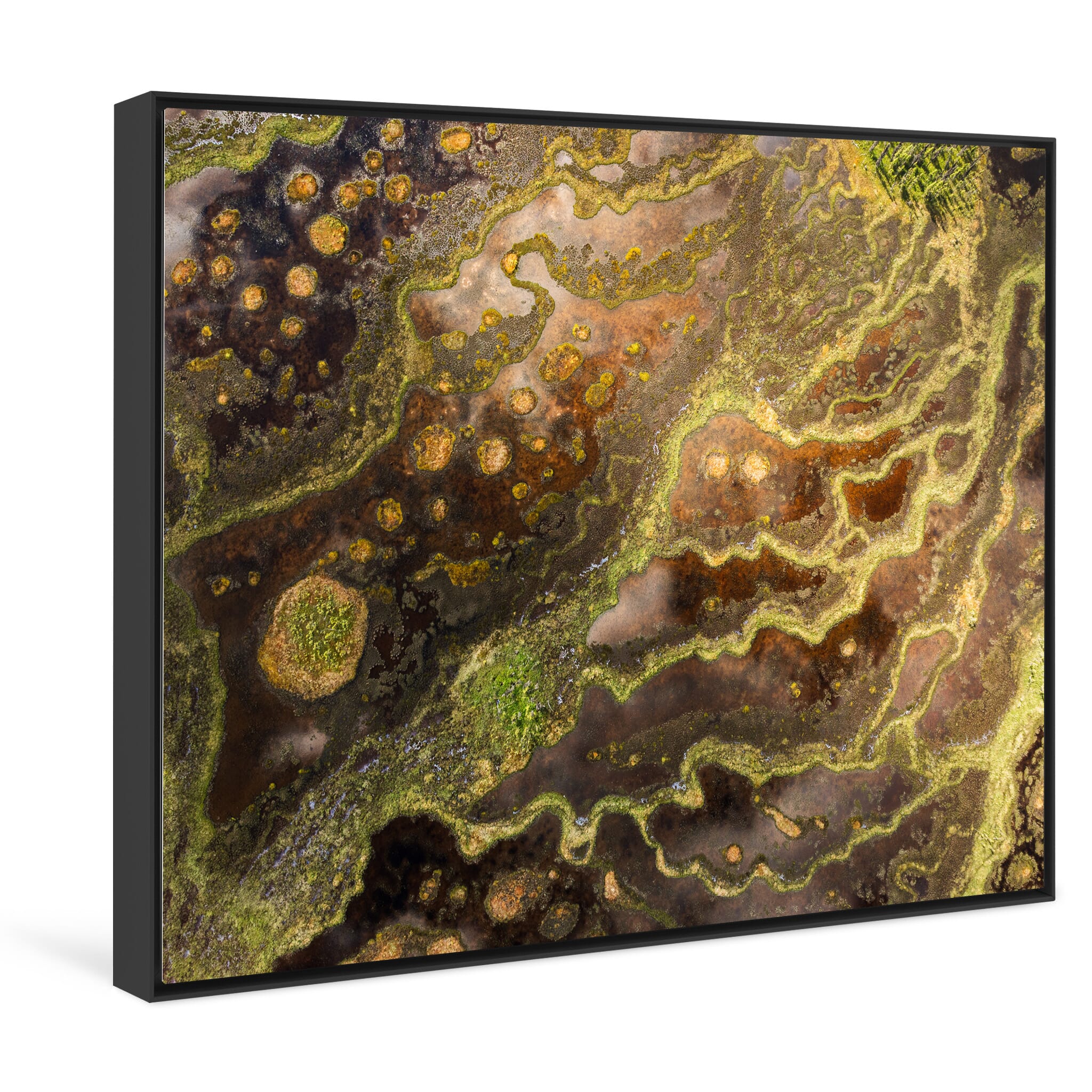 Framed photo print of natural contrasts between water, soil, and vegetation
