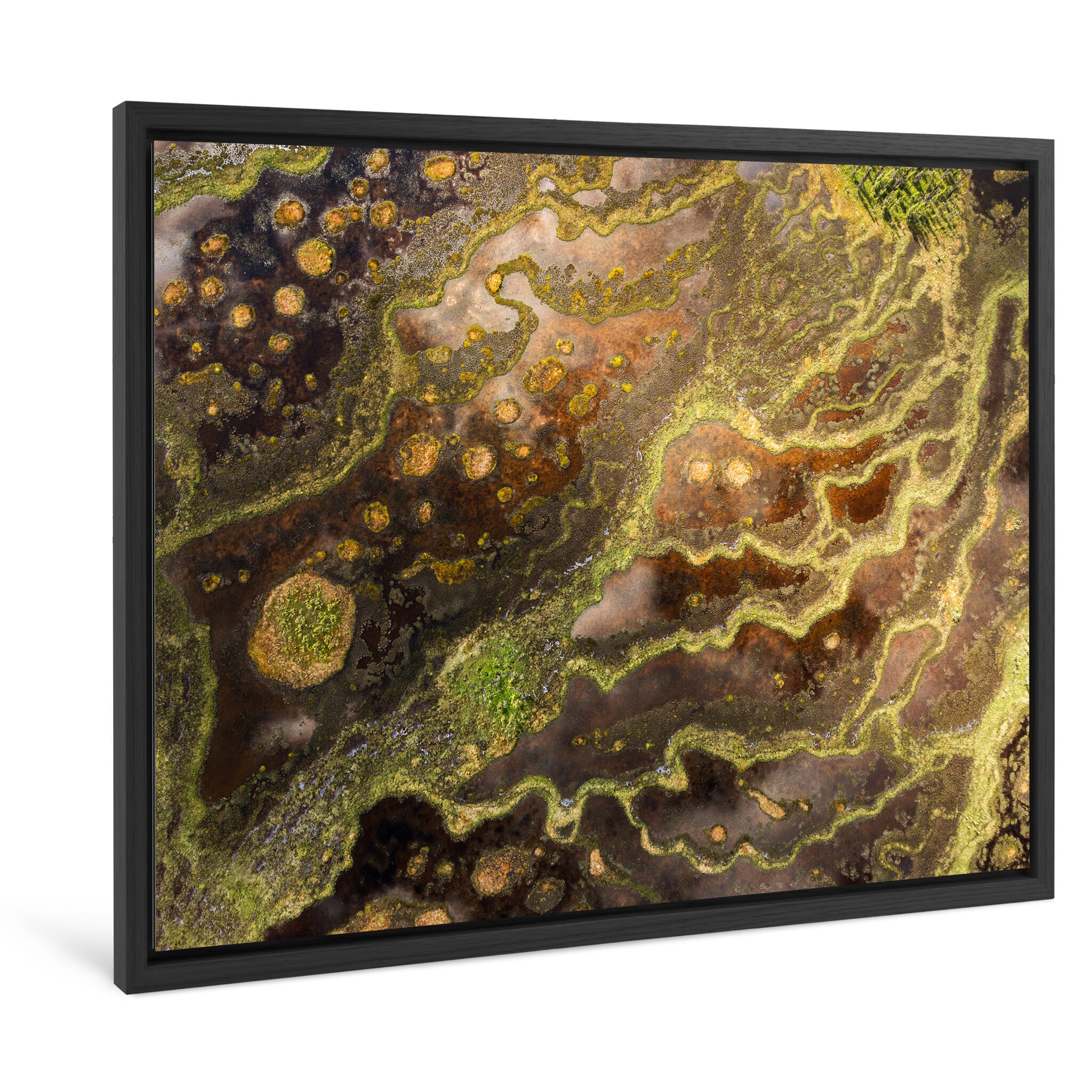 Framed photo print of fluid shapes formed by seasonal water levels