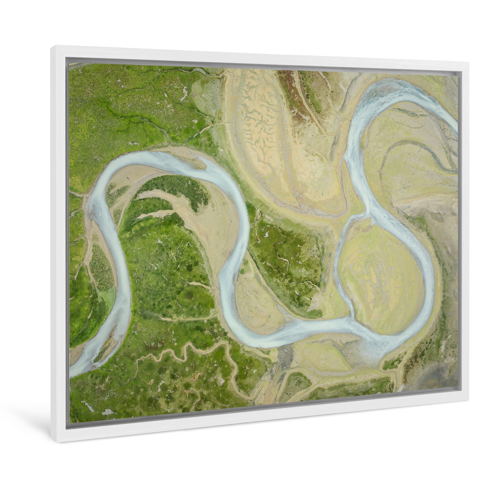 Framed photo print of vibrant greens and earthy tones in swampland terrain