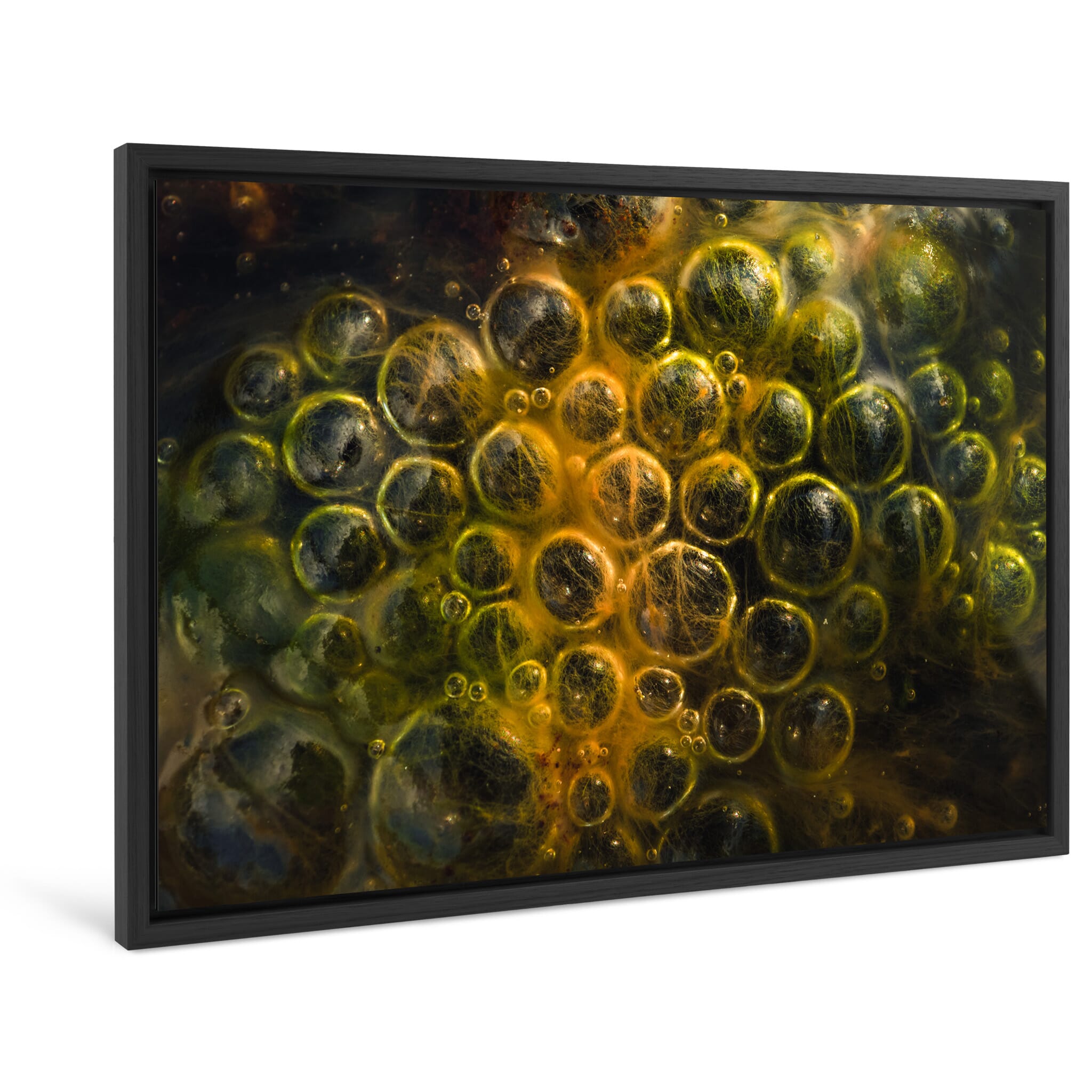 Framed photo print of abstract macro details shaped by trapped bubbles and plants