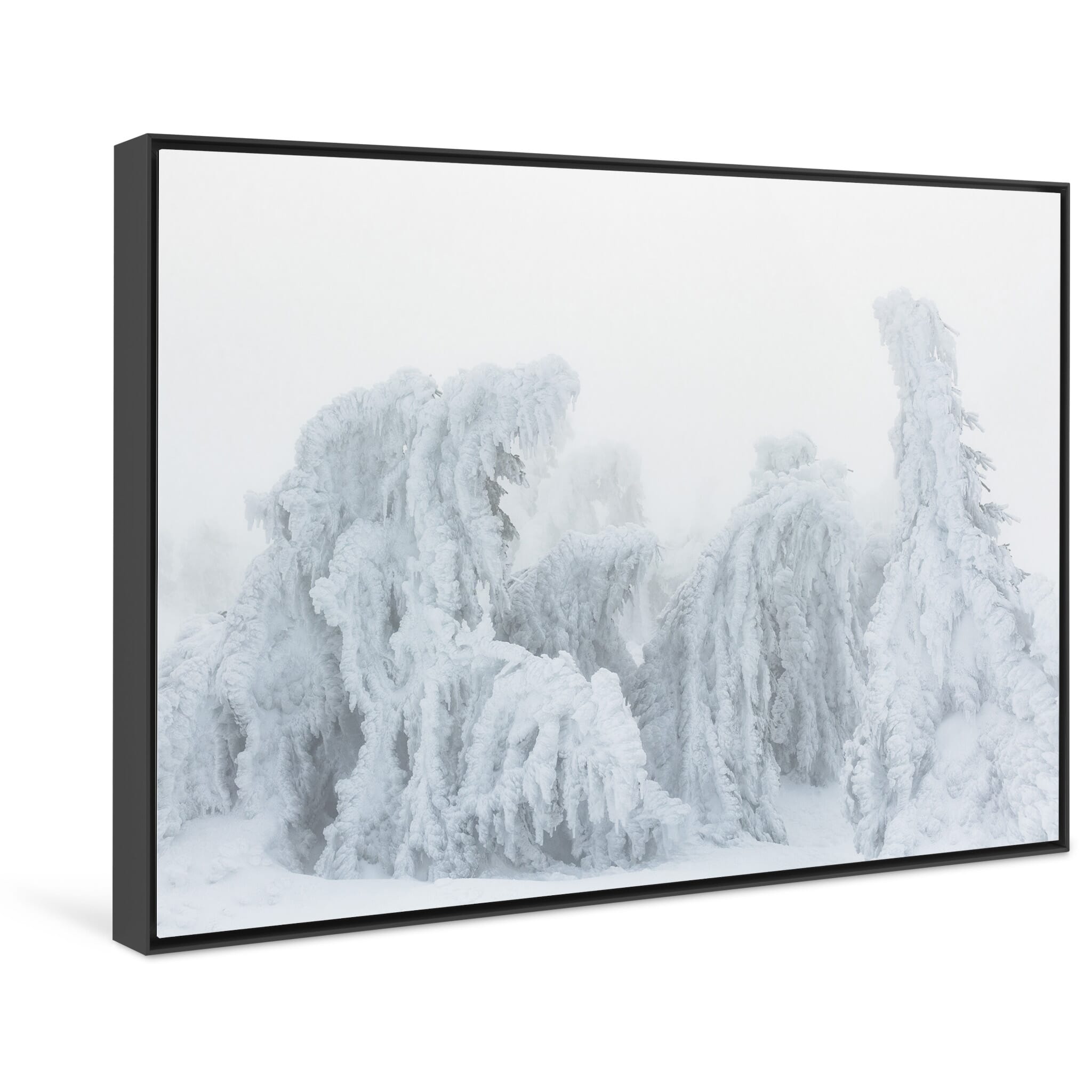 Framed photo print of isolated snow-laden tree evoking stillness and quiet motion