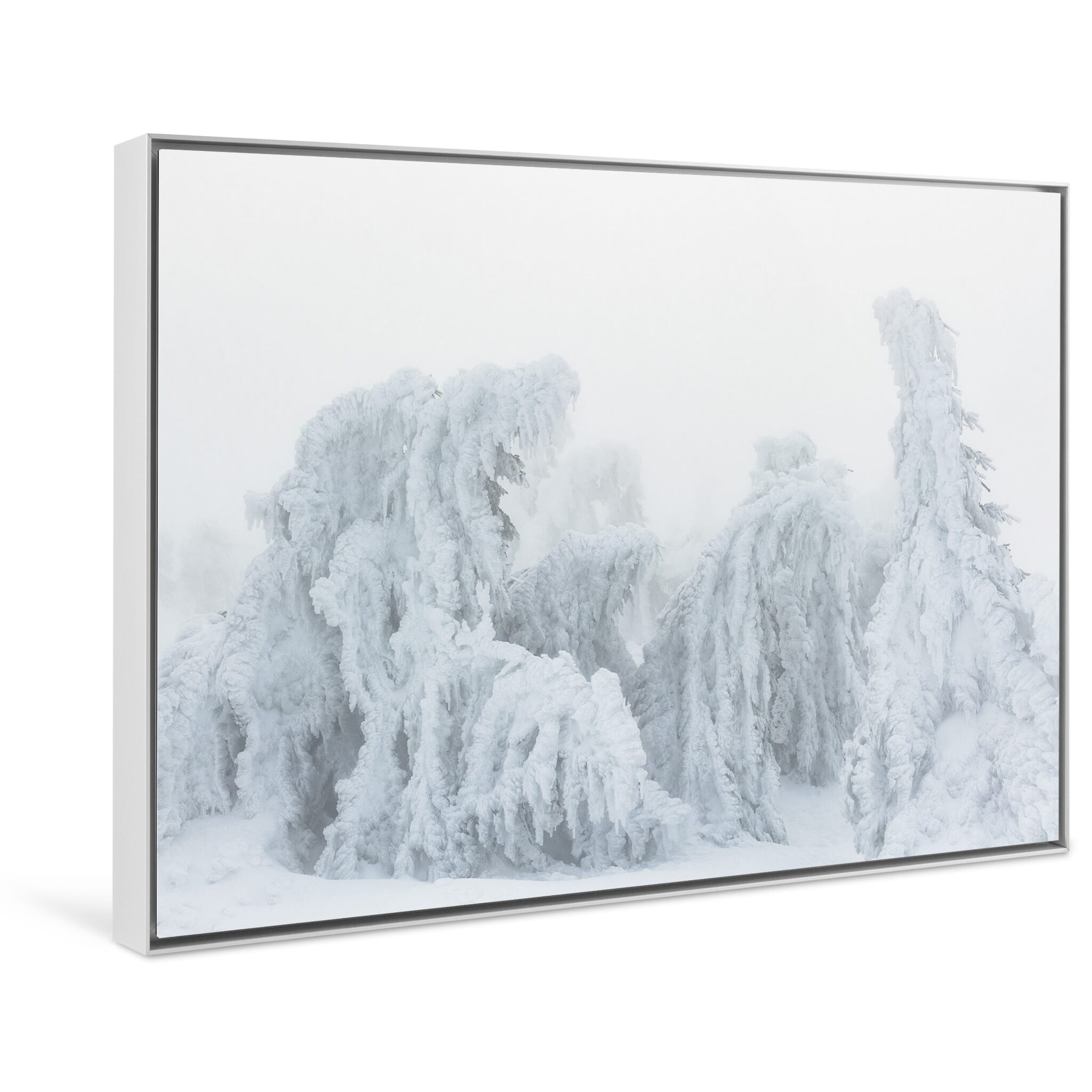 Framed photo print of abstract winter forest scene where perception and form begin to blur