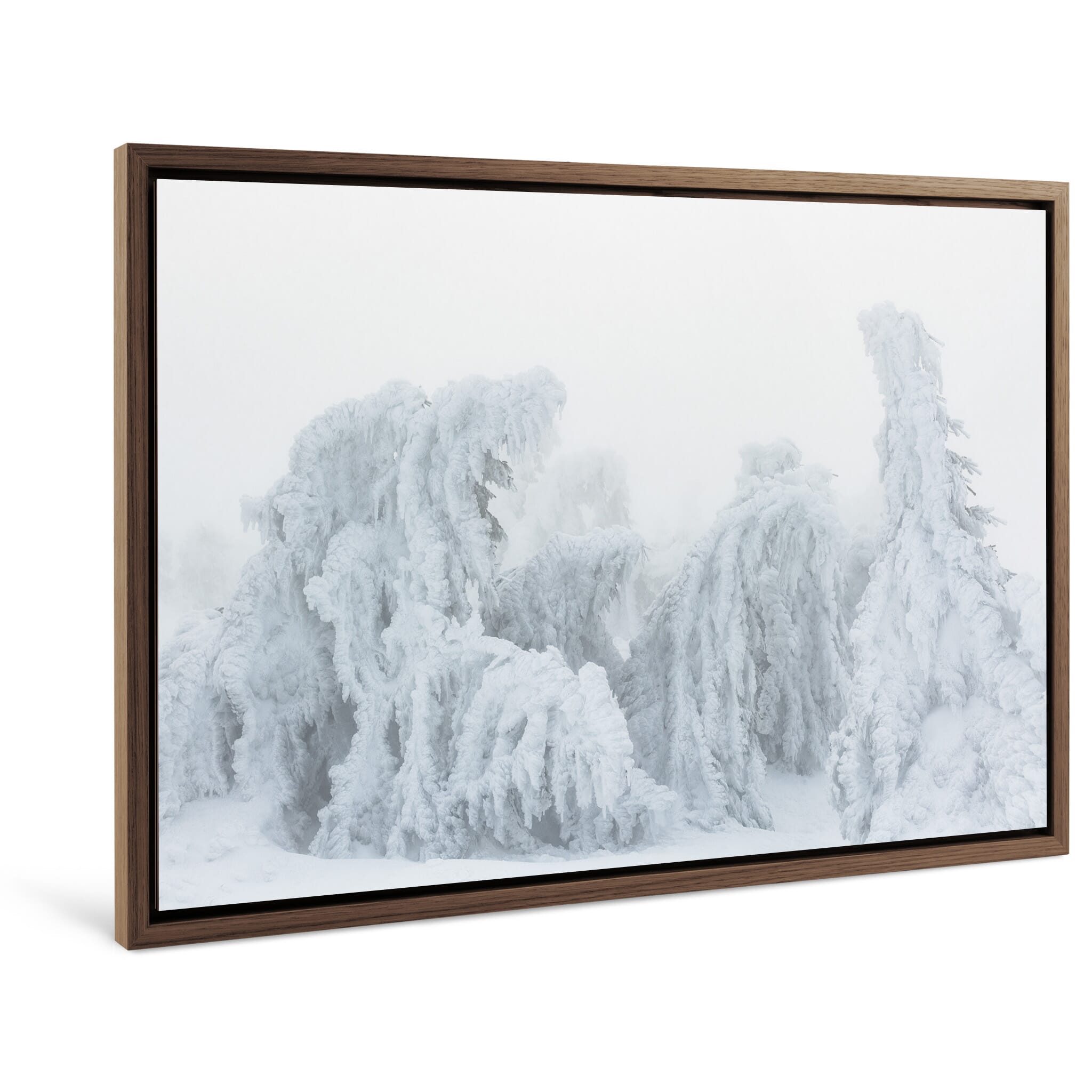 Framed photo print of tree silhouette transformed by ice and fog into a creature-like figure