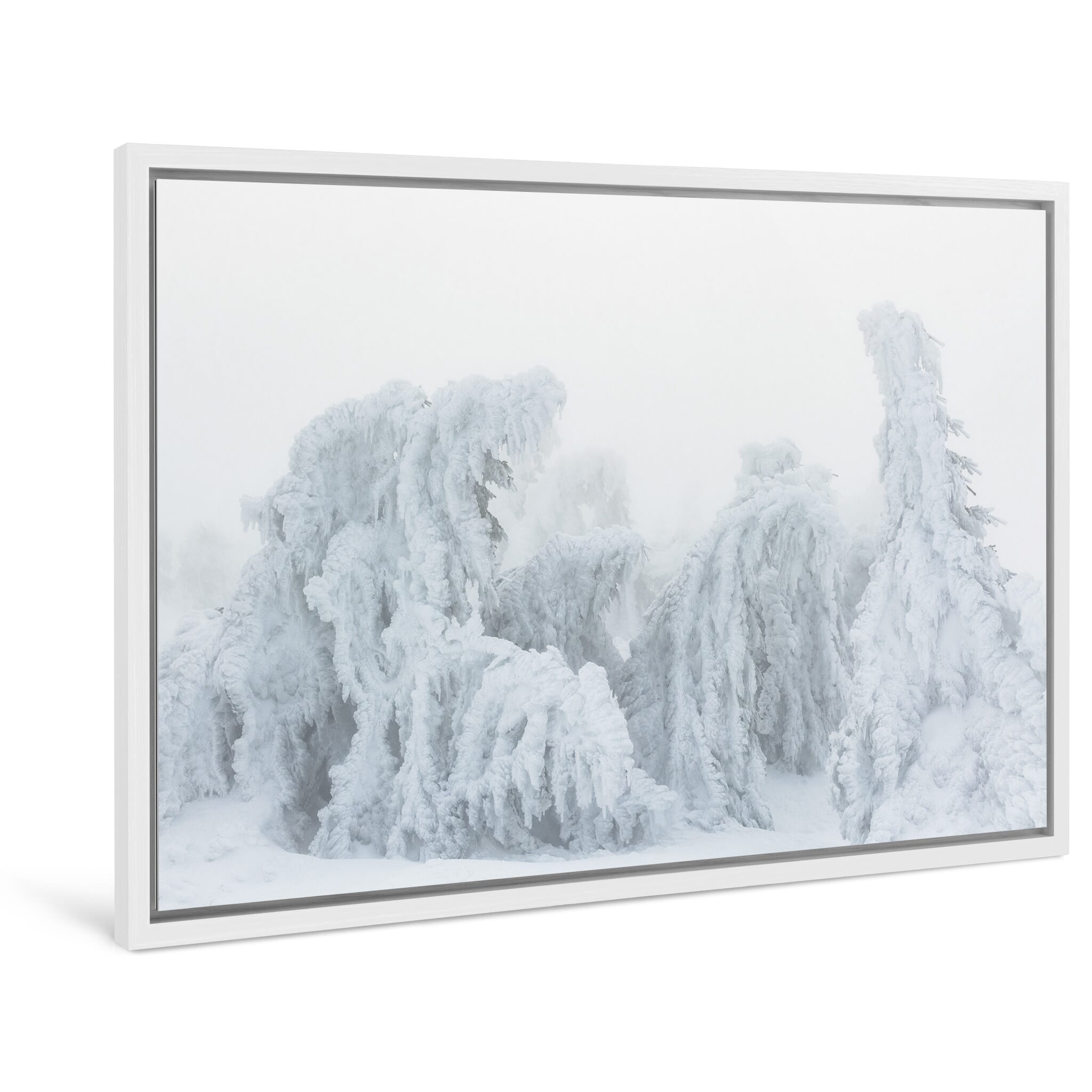 Framed photo print of surreal winter landscape with bent frozen trees in soft light
