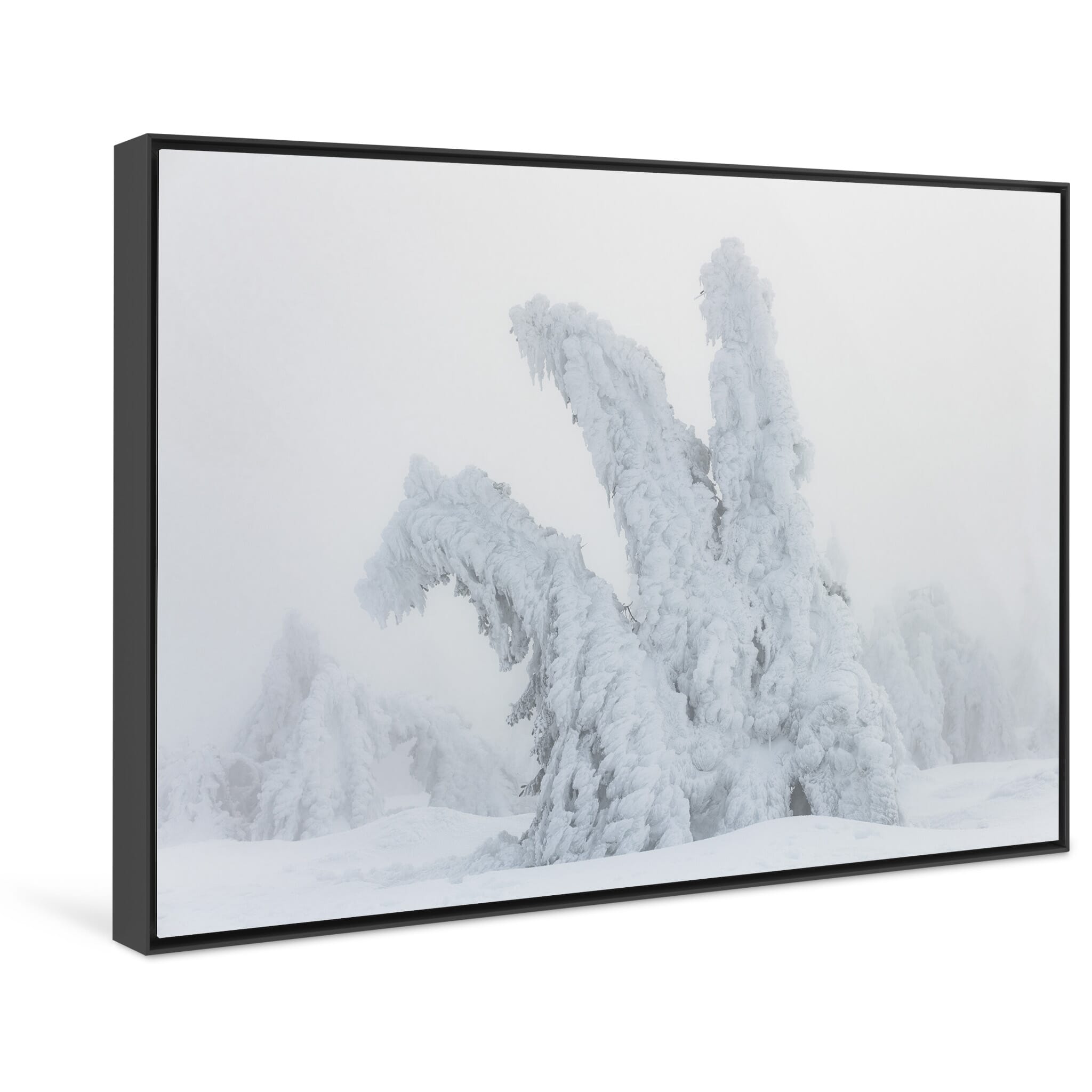 Framed photo print of isolated snow-laden tree evoking stillness and quiet motion