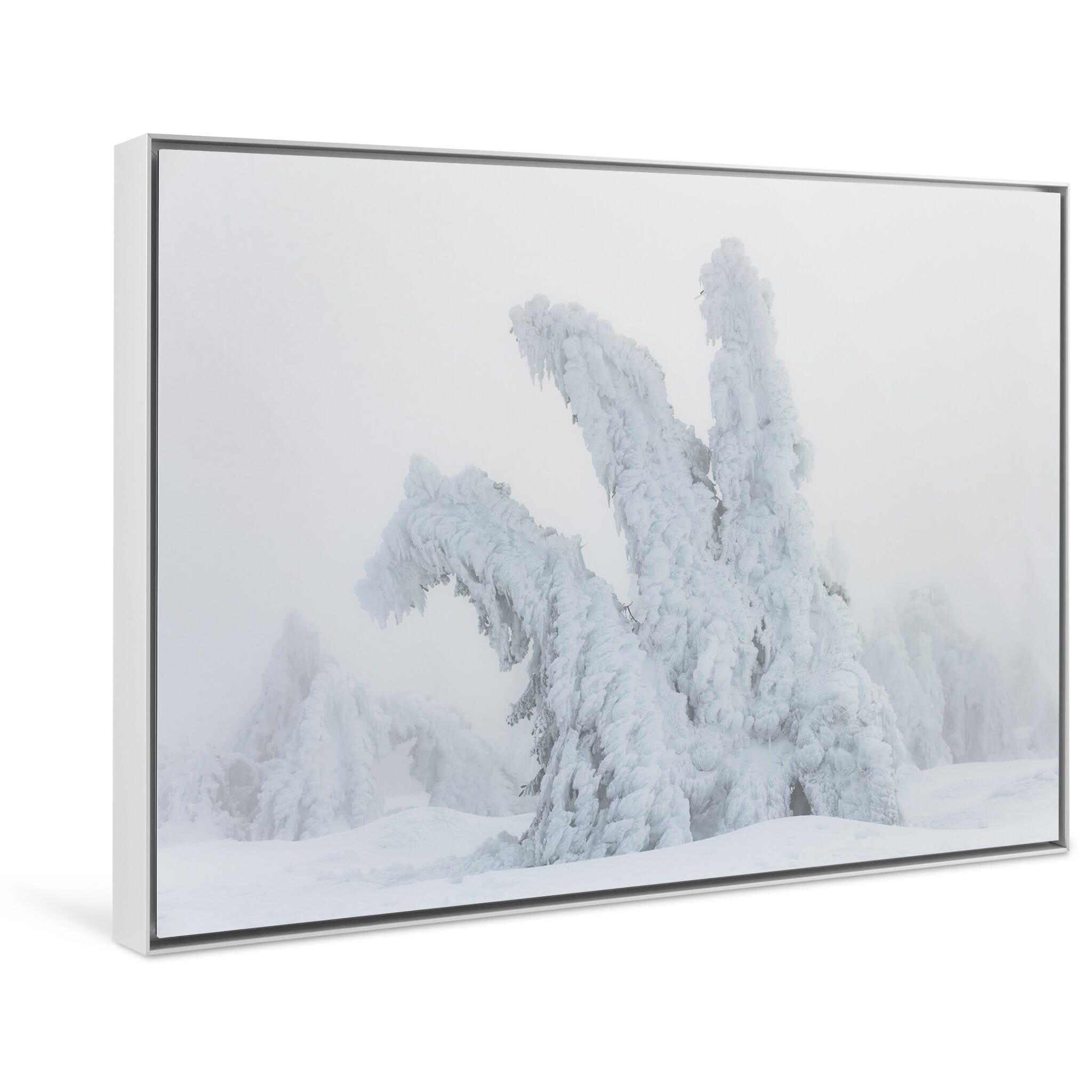 Framed photo print of abstract winter forest scene where perception and form begin to blur