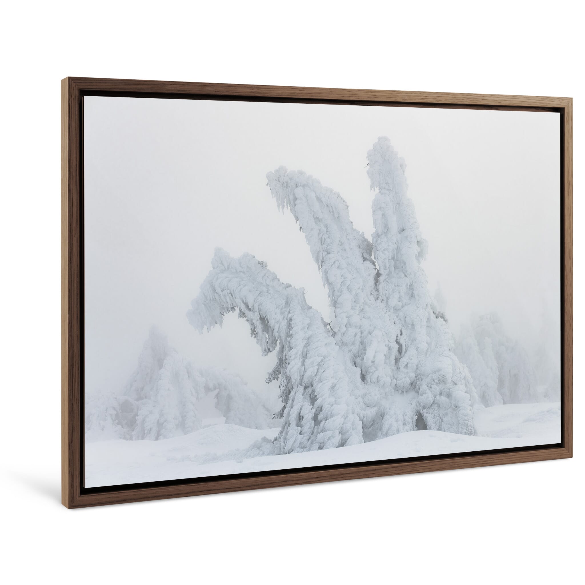 Framed photo print of tree silhouette transformed by ice and fog into a creature-like figure
