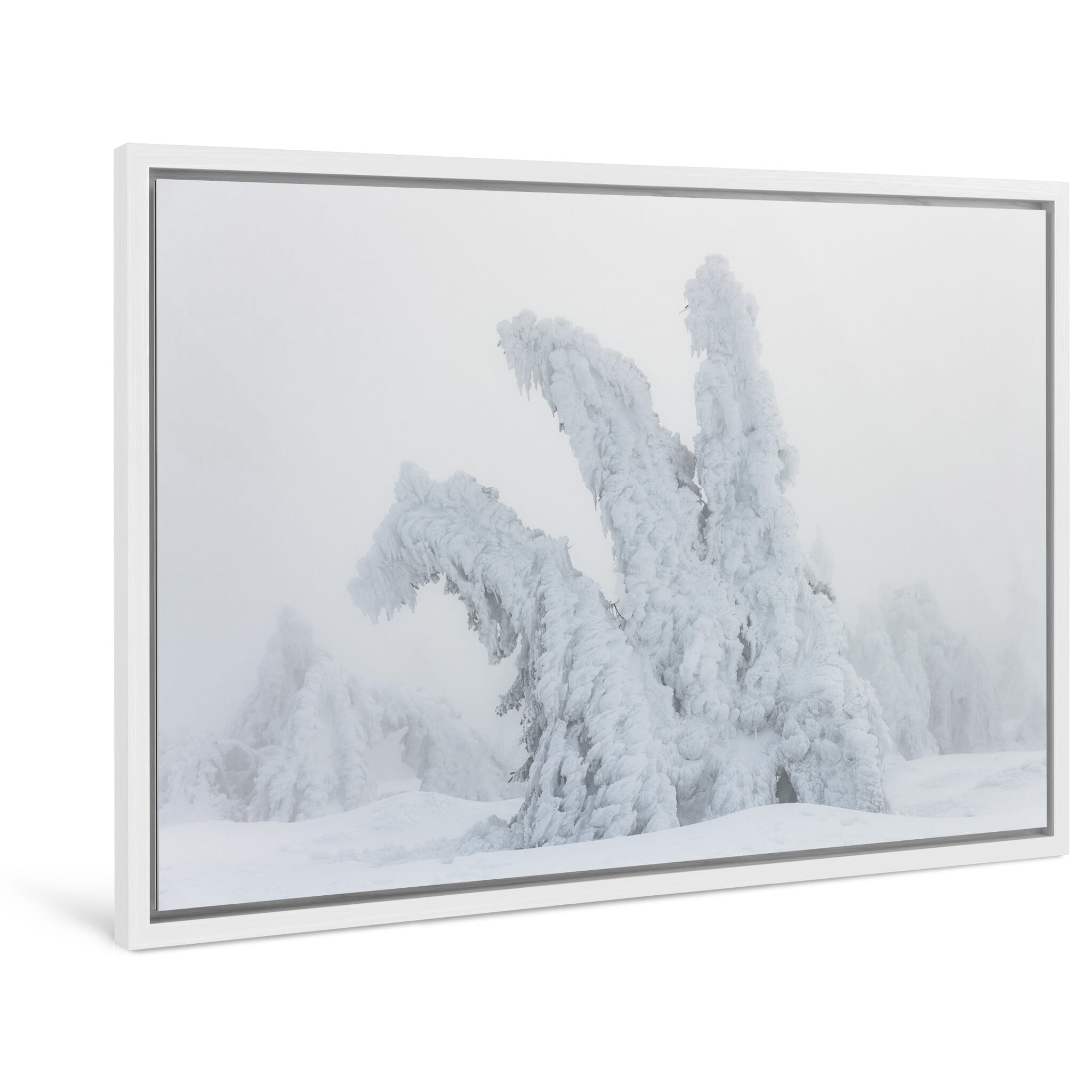 Framed photo print of surreal winter landscape with bent frozen trees in soft light