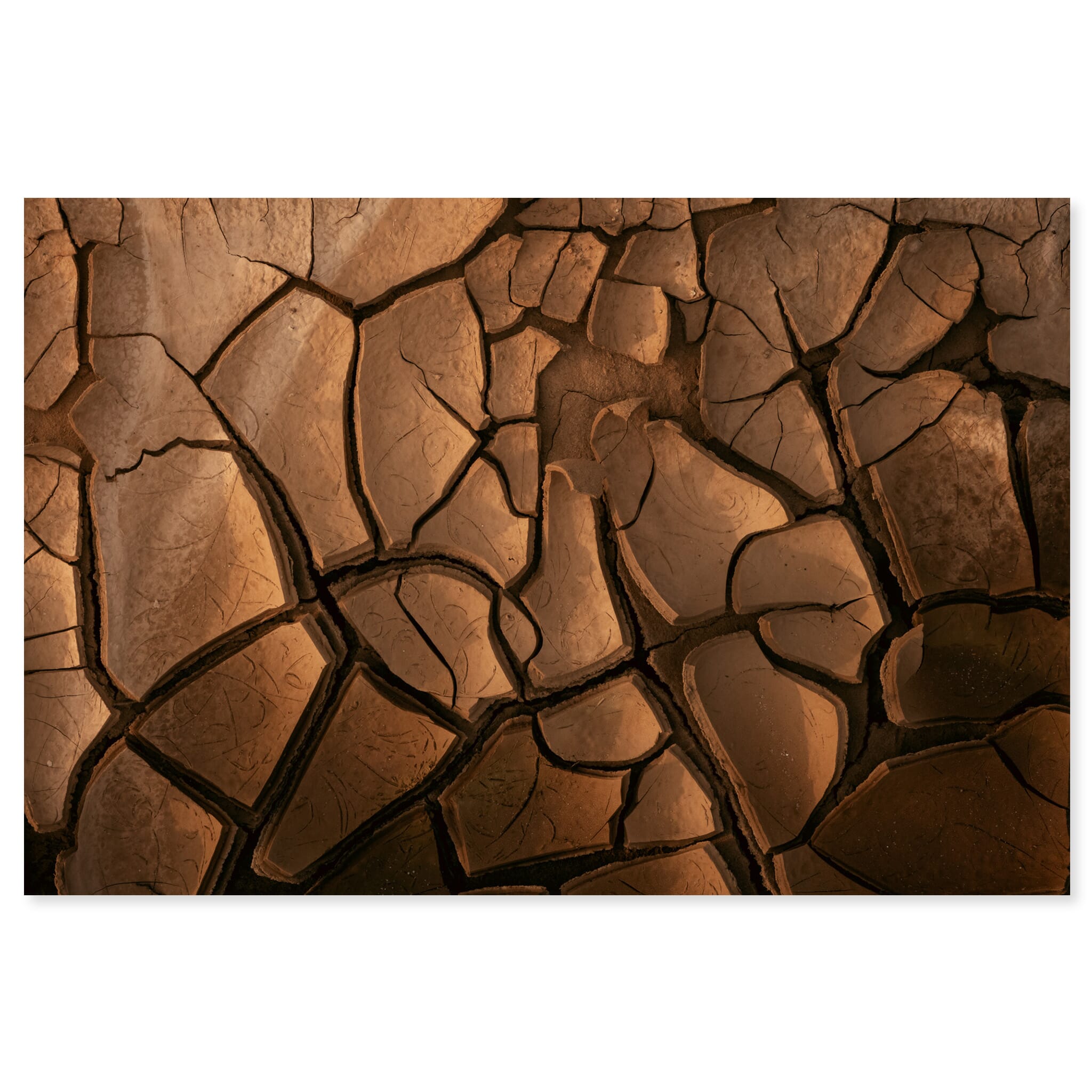 Fine art print of cracked dried mud surface in Germany