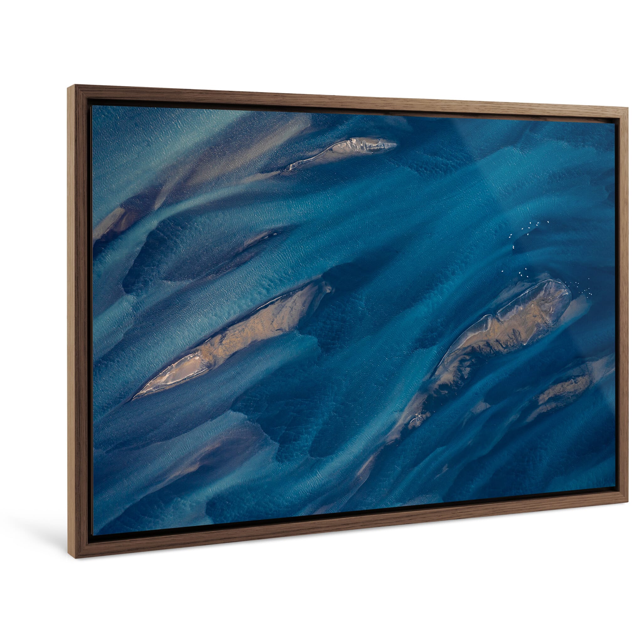 Framed photo print of nutrient-rich currents highlighting bright blue channels