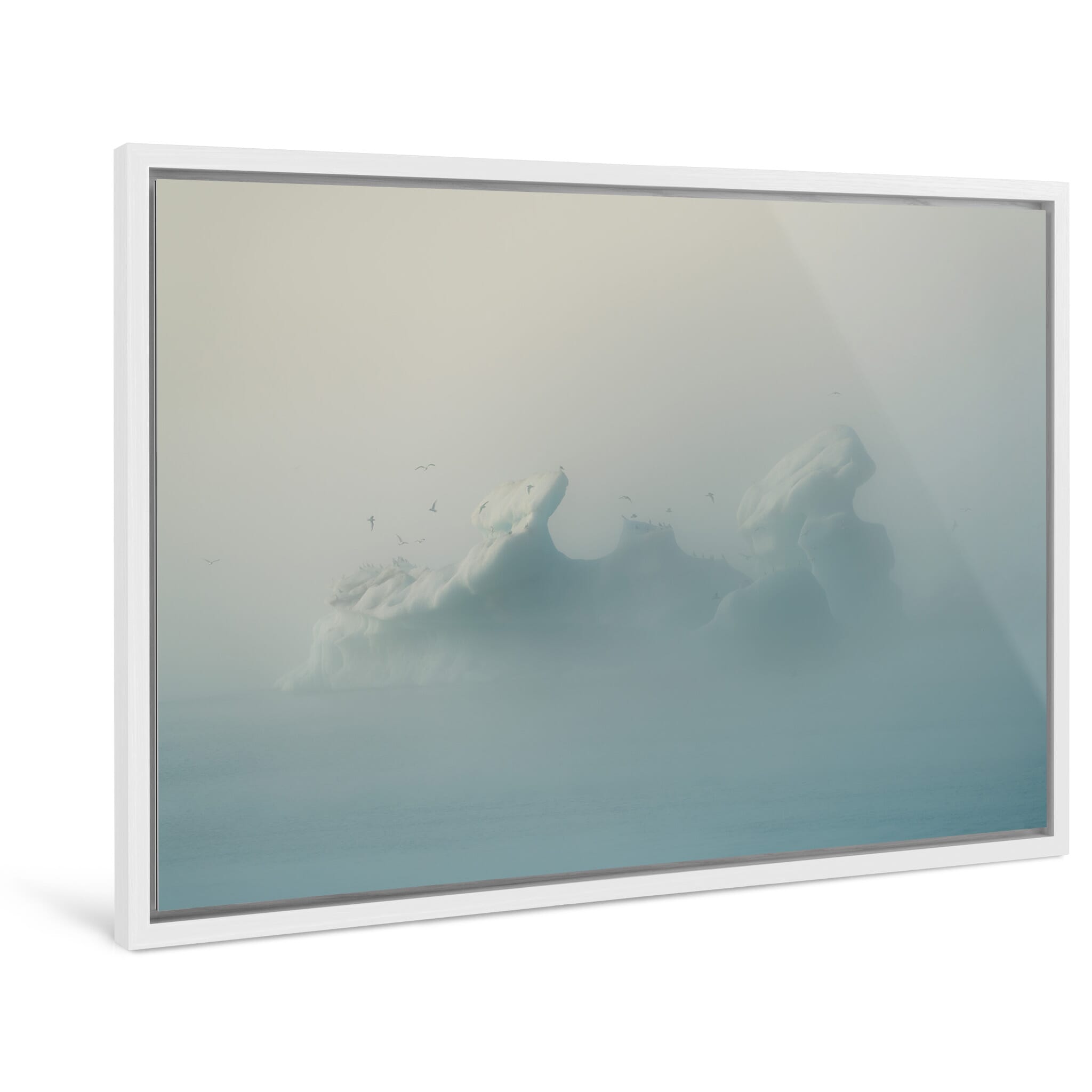 Framed photo print of seagulls resting on glacial ice in quiet atmosphere
