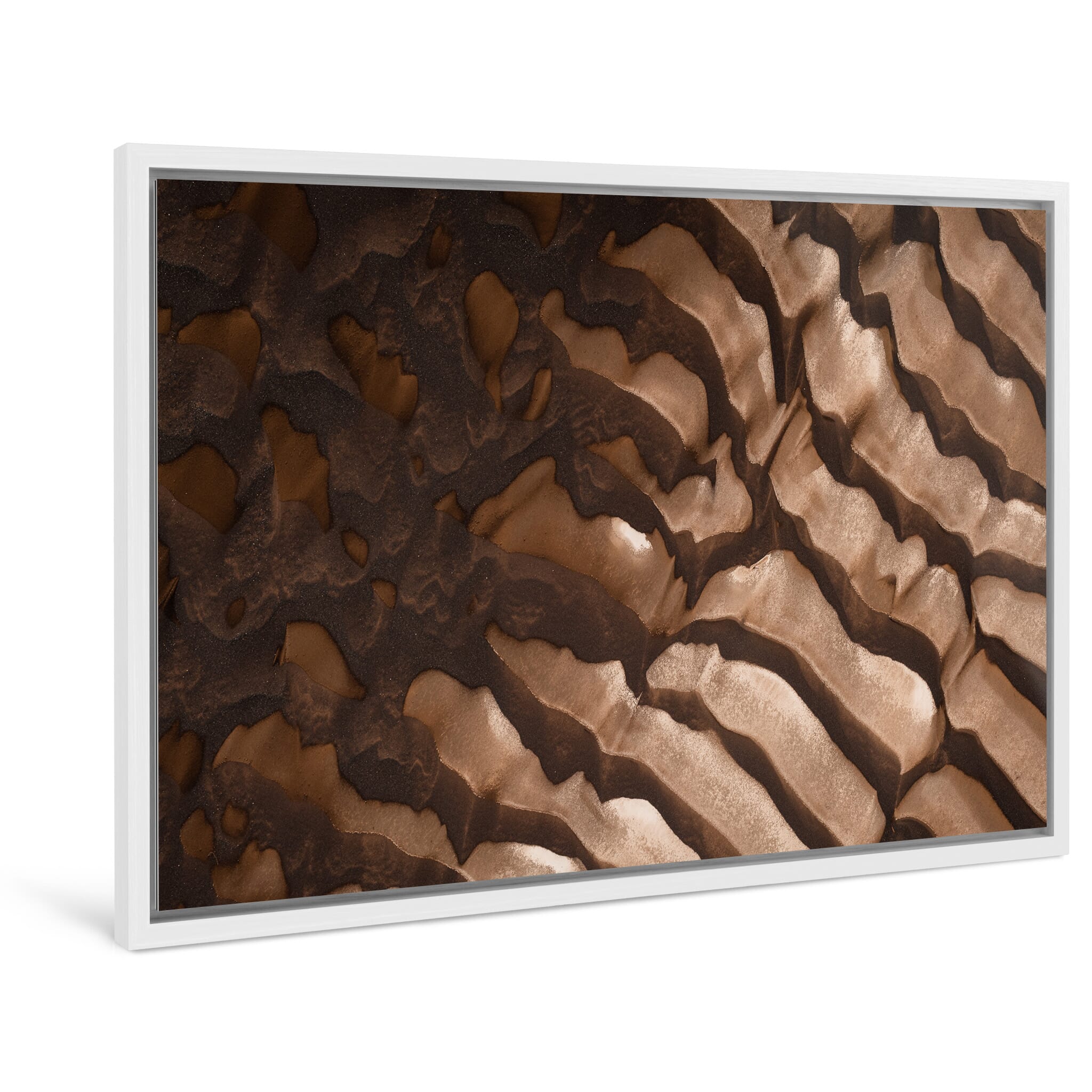 Framed photo print of natural textures resembling tree roots or veins