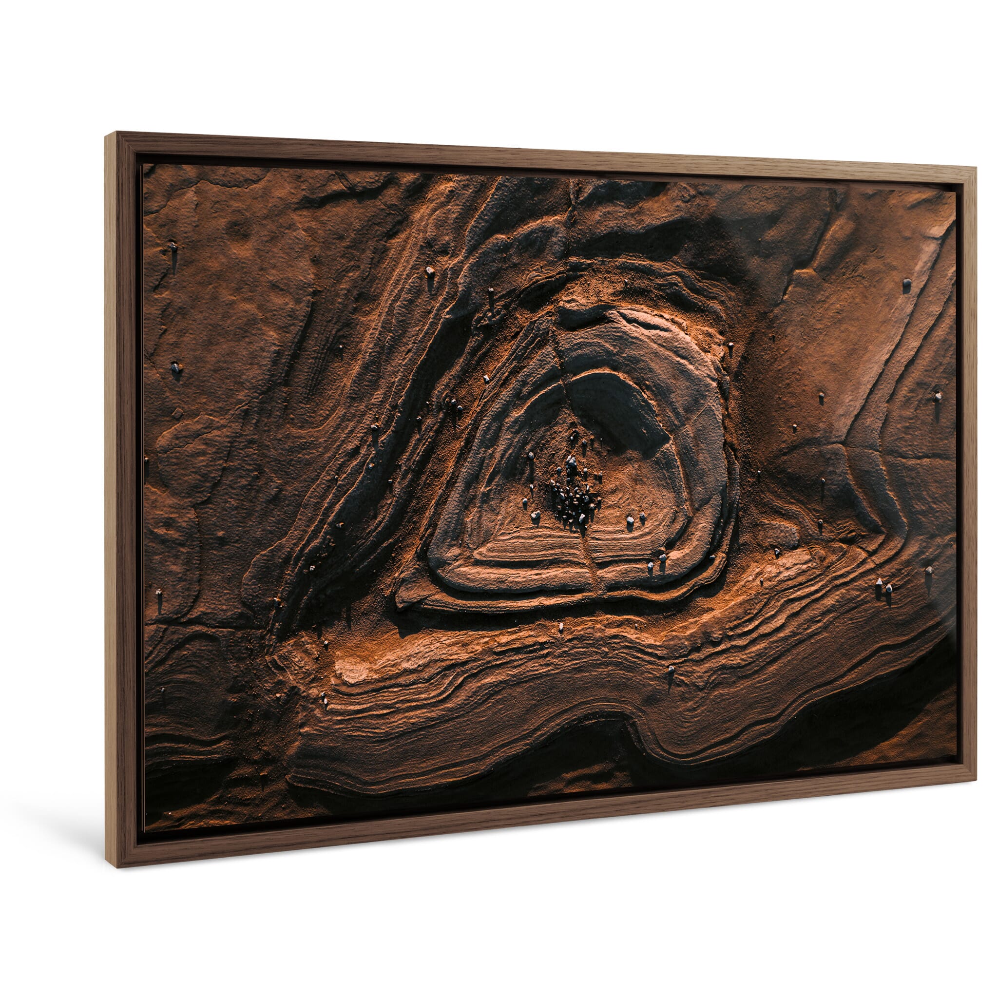 Framed photo print of directional formations resembling skeletal remains in earth tones