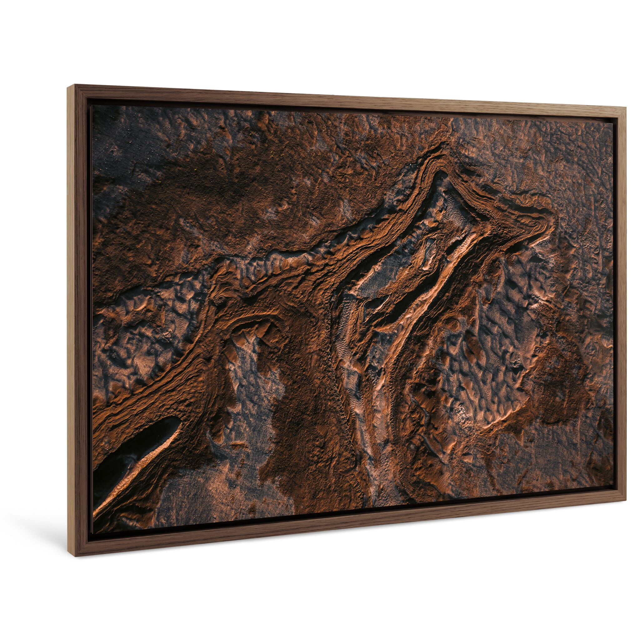 Framed photo print of directional formations resembling skeletal remains in earth tones