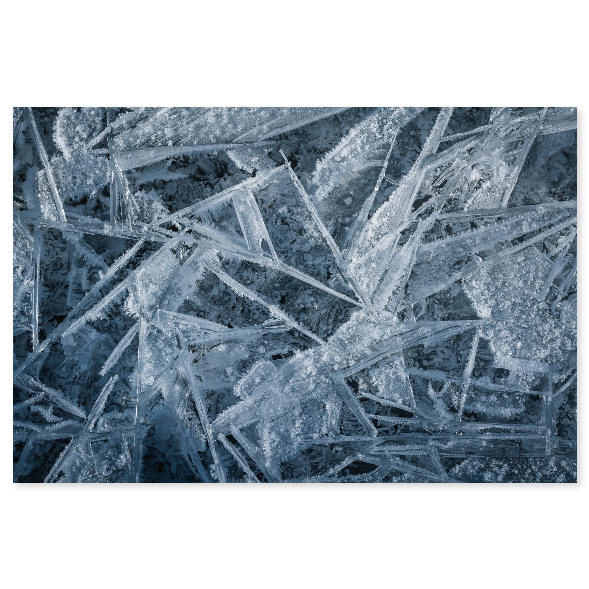 Fine art print of delicate macro view of ice crystal patterns