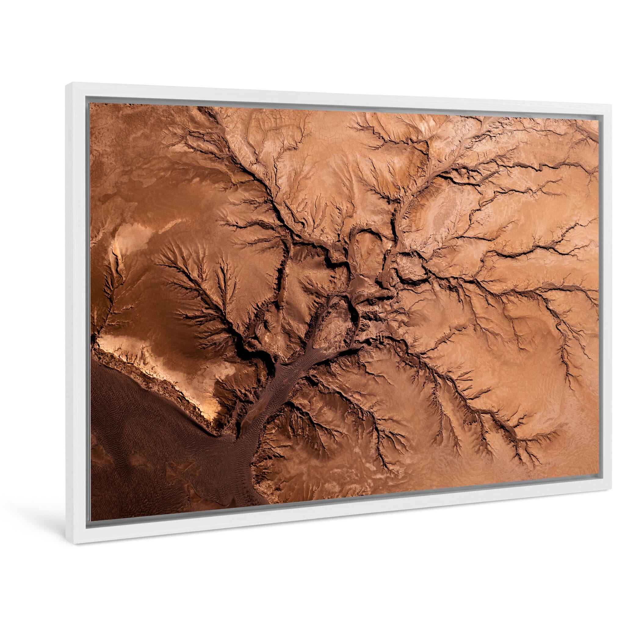 Framed photo print of natural textures resembling tree roots or veins