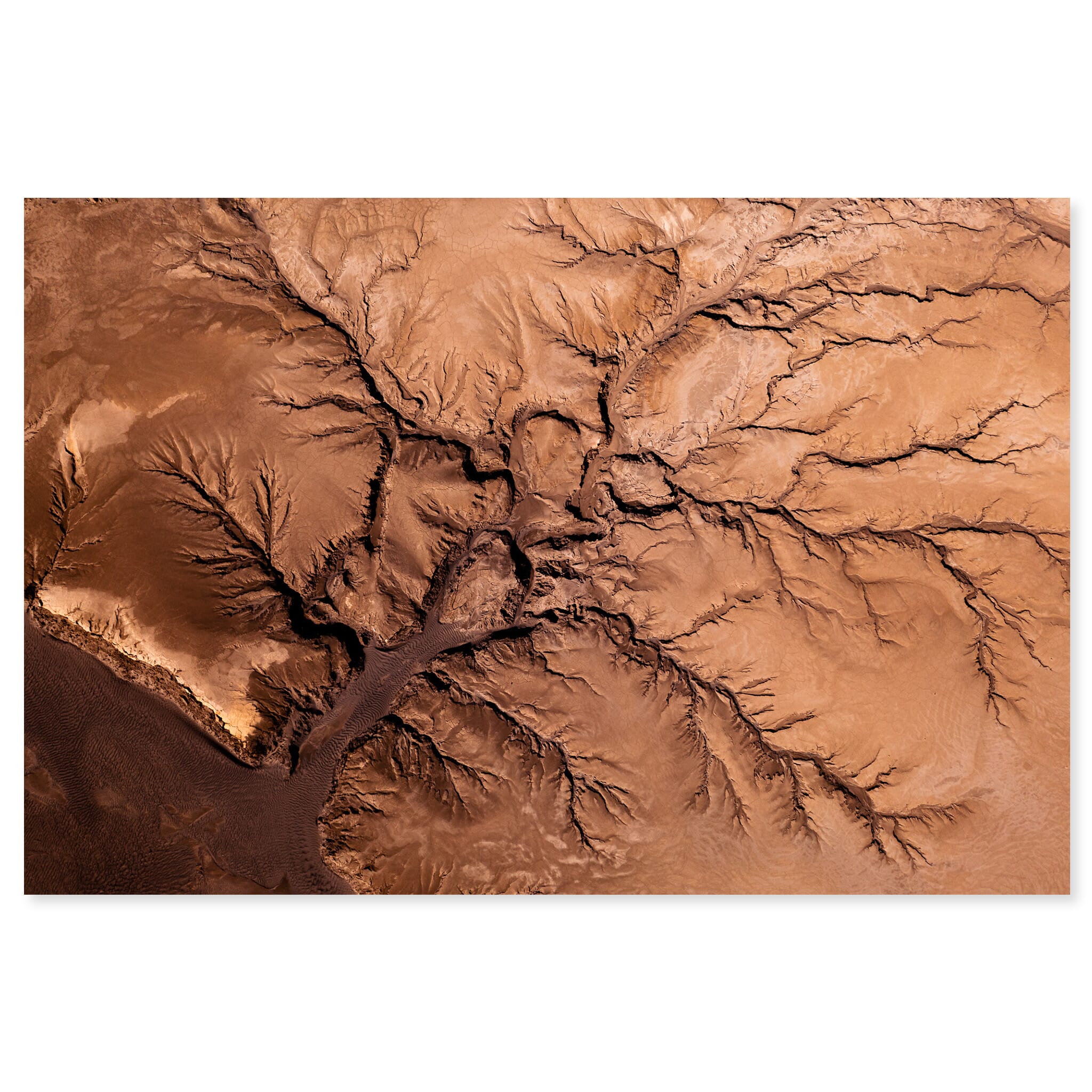 Fine art print of aerial view showing dried riverbed with branching patterns