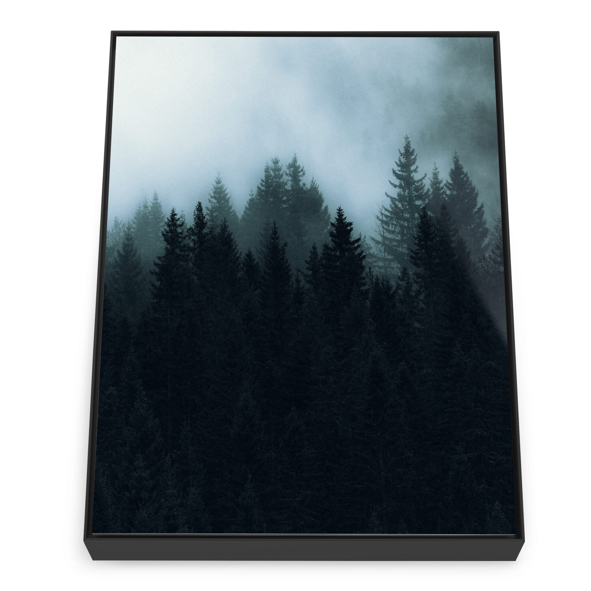 Framed photo print of abstract forest scene shaped by shadow and light