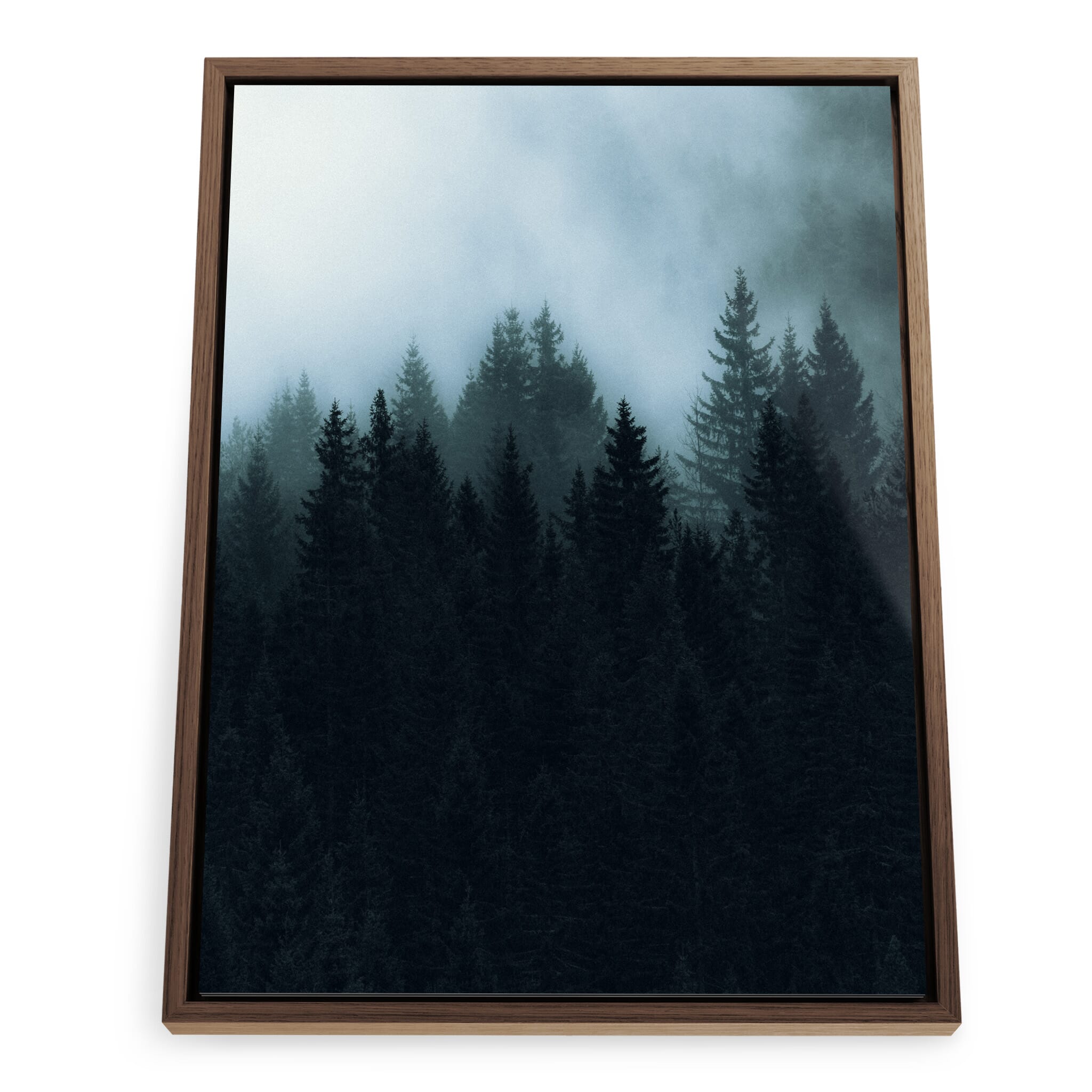Framed photo print of moody black trees and diffused fog
