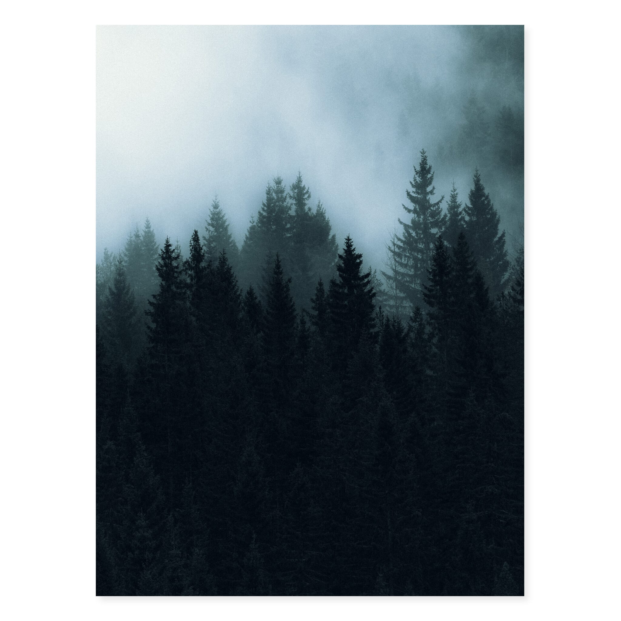 Fine art print of Norway’s Jostedal Valley with forests fading into fog