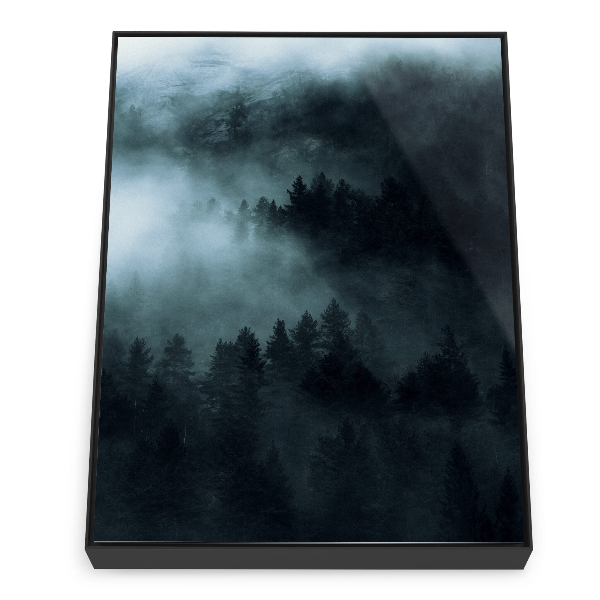 Framed photo print of shadowy tree silhouettes in soft natural light