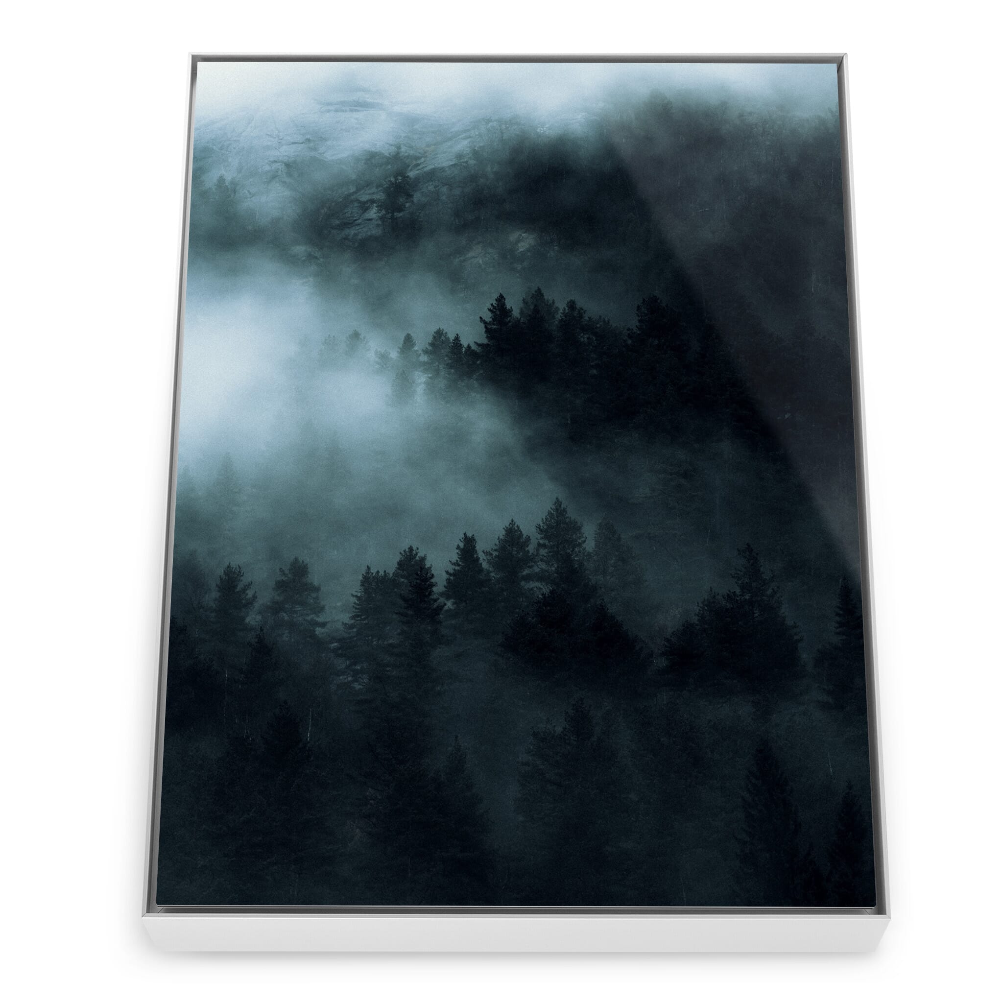 Framed photo print of abstract forest view with deep tones and fog
