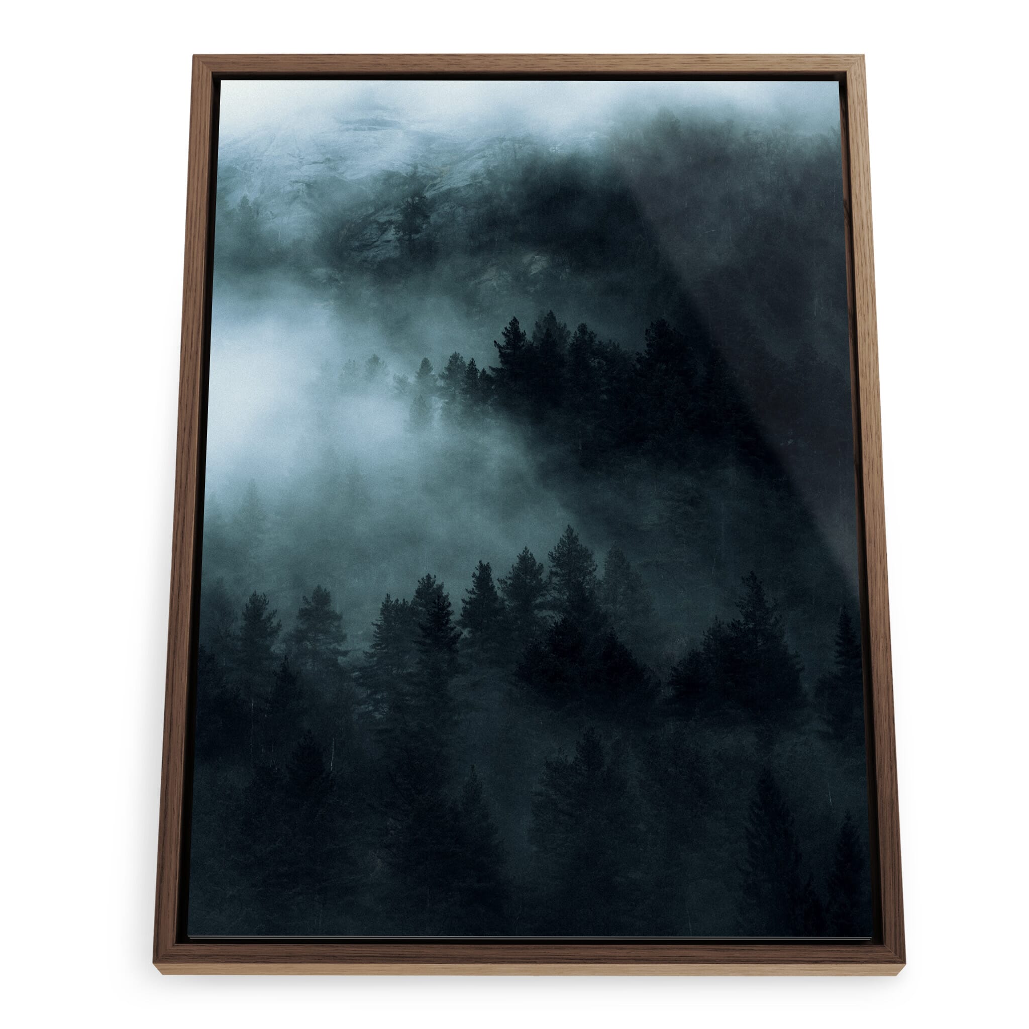 Framed photo print of quiet forest scene with moody atmosphere