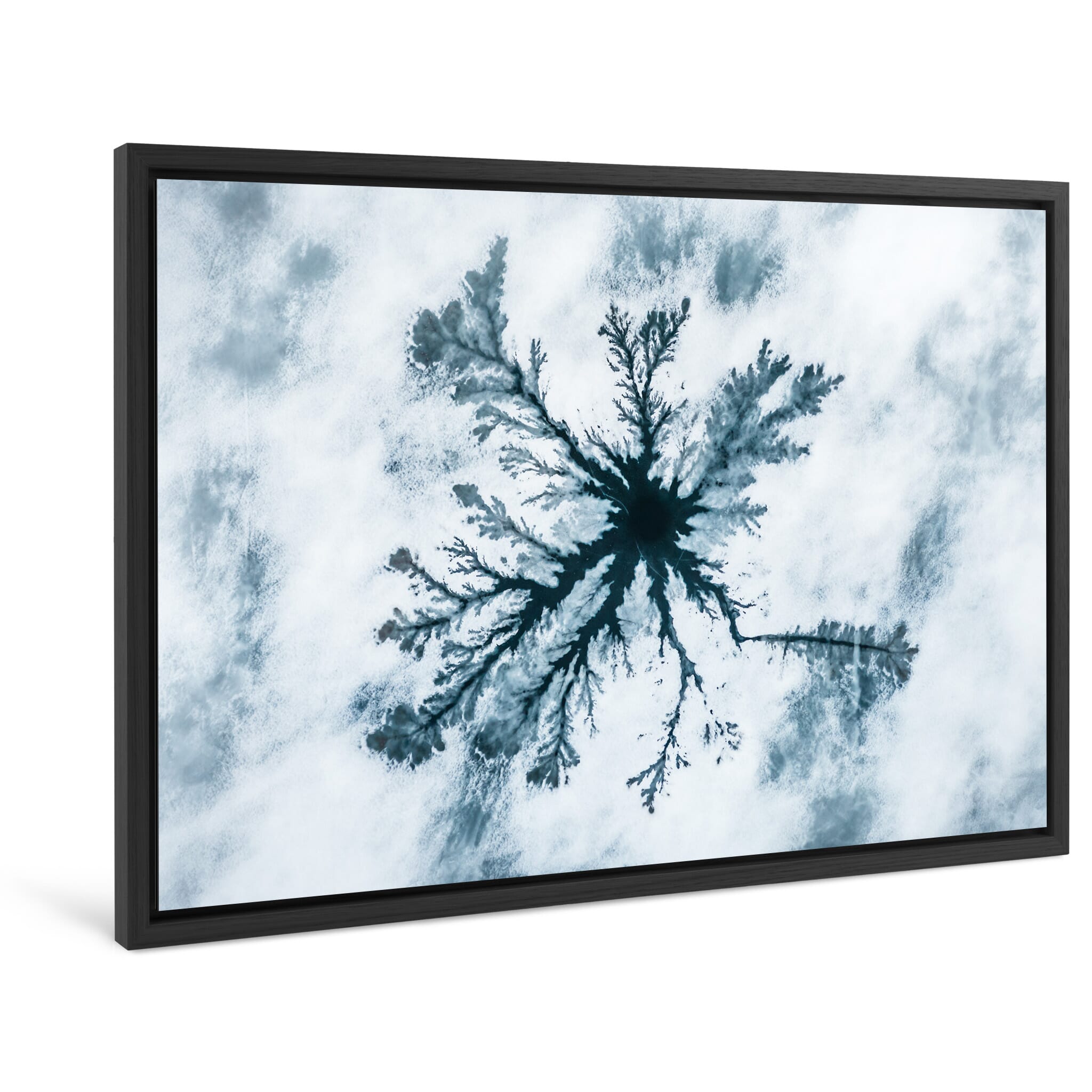 Framed photo print of branching ice formations shaped by melting snow