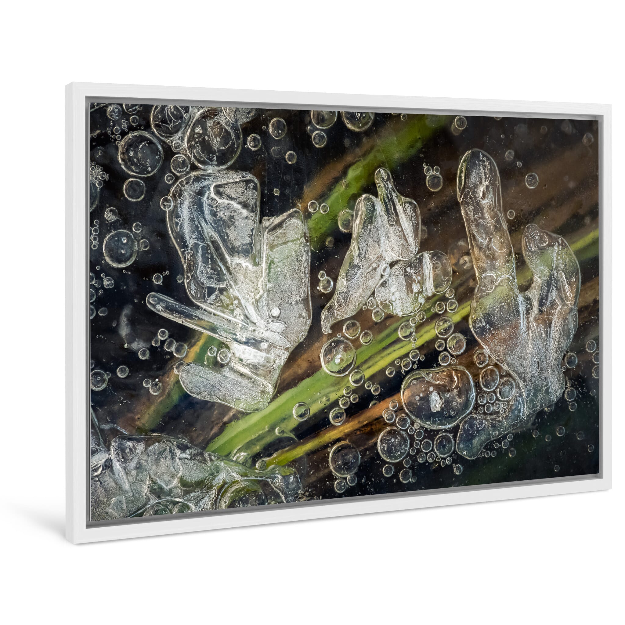 Framed photo print of frozen surface with intricate textures and earthy plant details