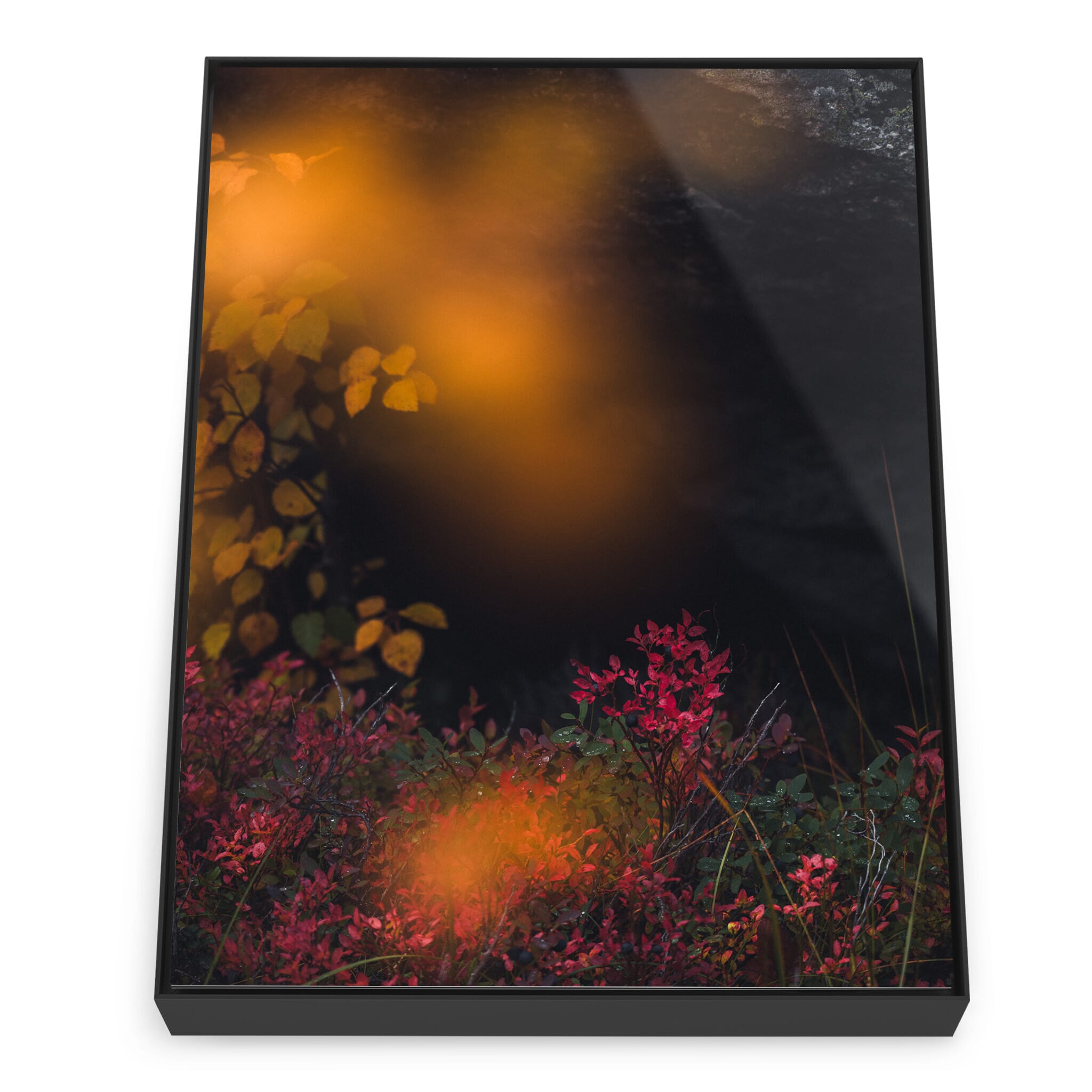 Framed photo print of earthy tones and golden leaves in Norway