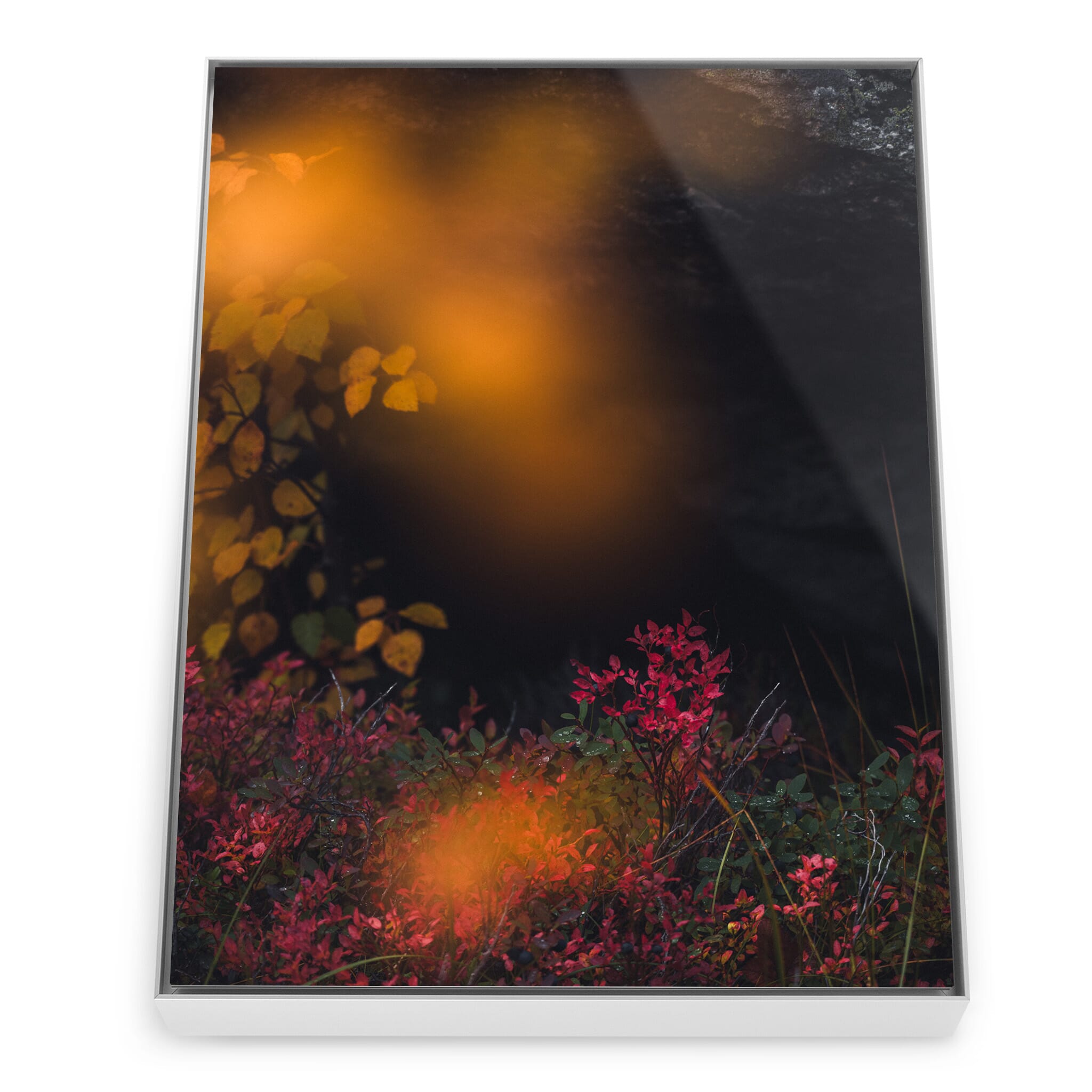 Framed photo print of vibrant seasonal colors in a rugged landscape