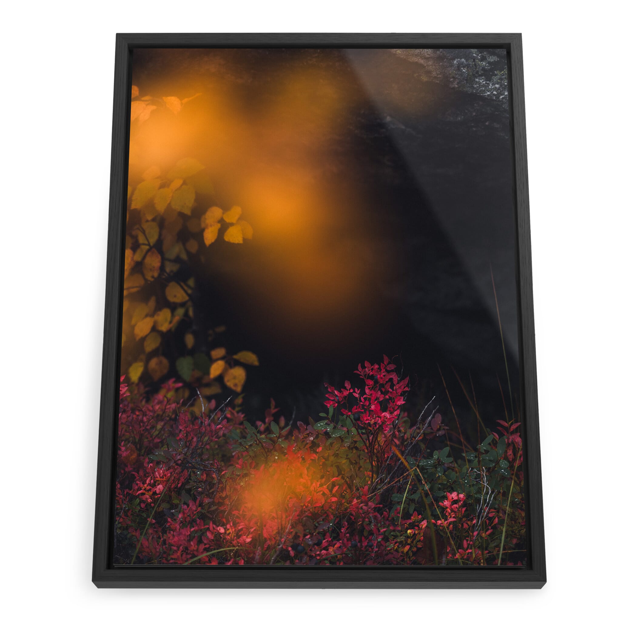Framed photo print of autumn forest with yellow and red foliage