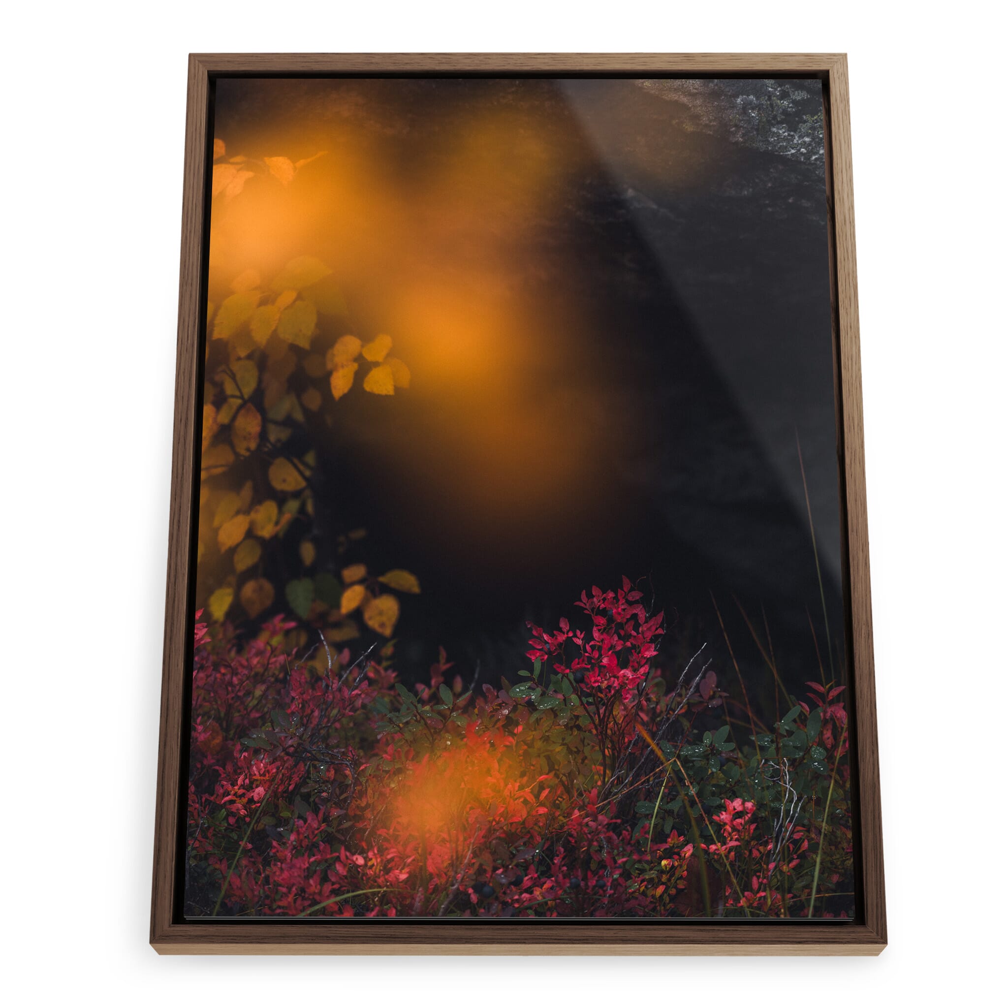 Framed photo print of autumn forest with yellow and red foliage
