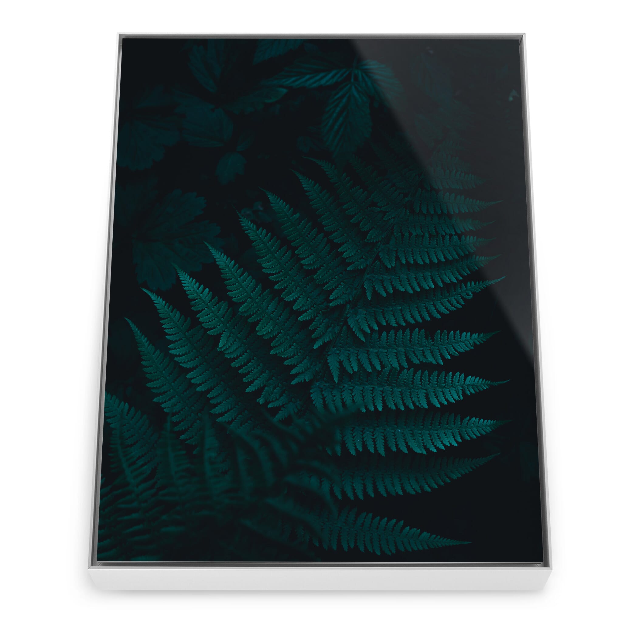 Framed photo print of forest details and subtle contrasts