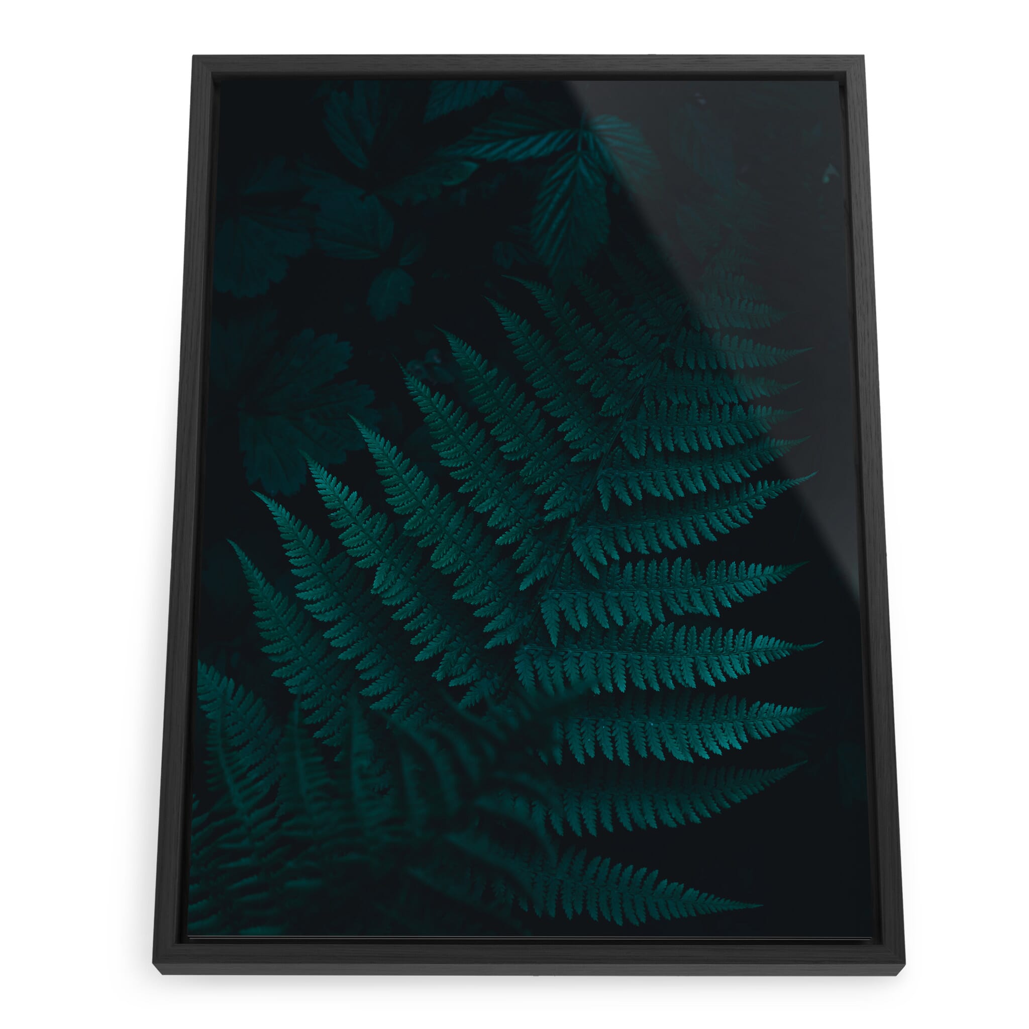 Framed photo print of fern leaves in dark and atmospheric light