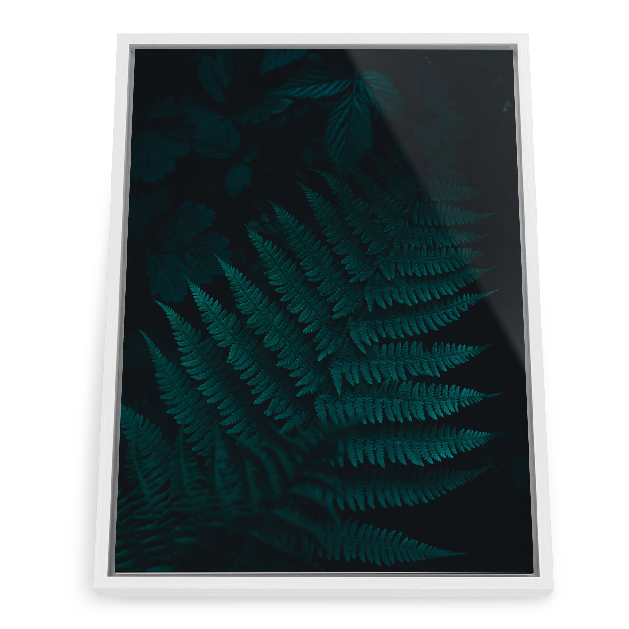 Framed photo print of forest details and subtle contrasts
