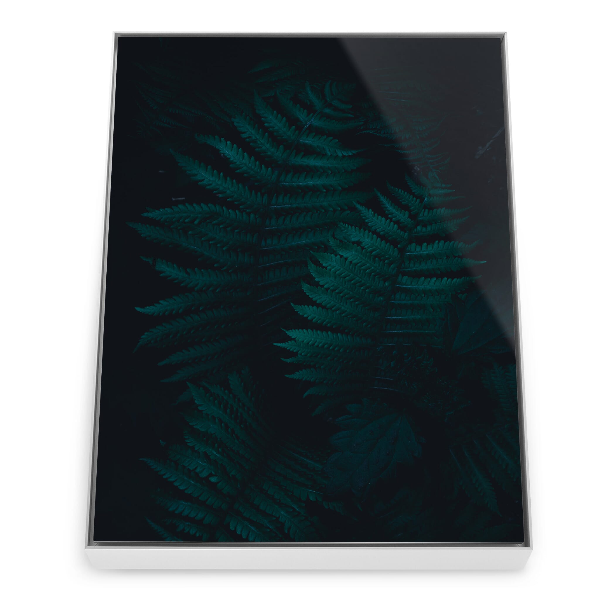 Framed photo print of forest details and subtle contrasts