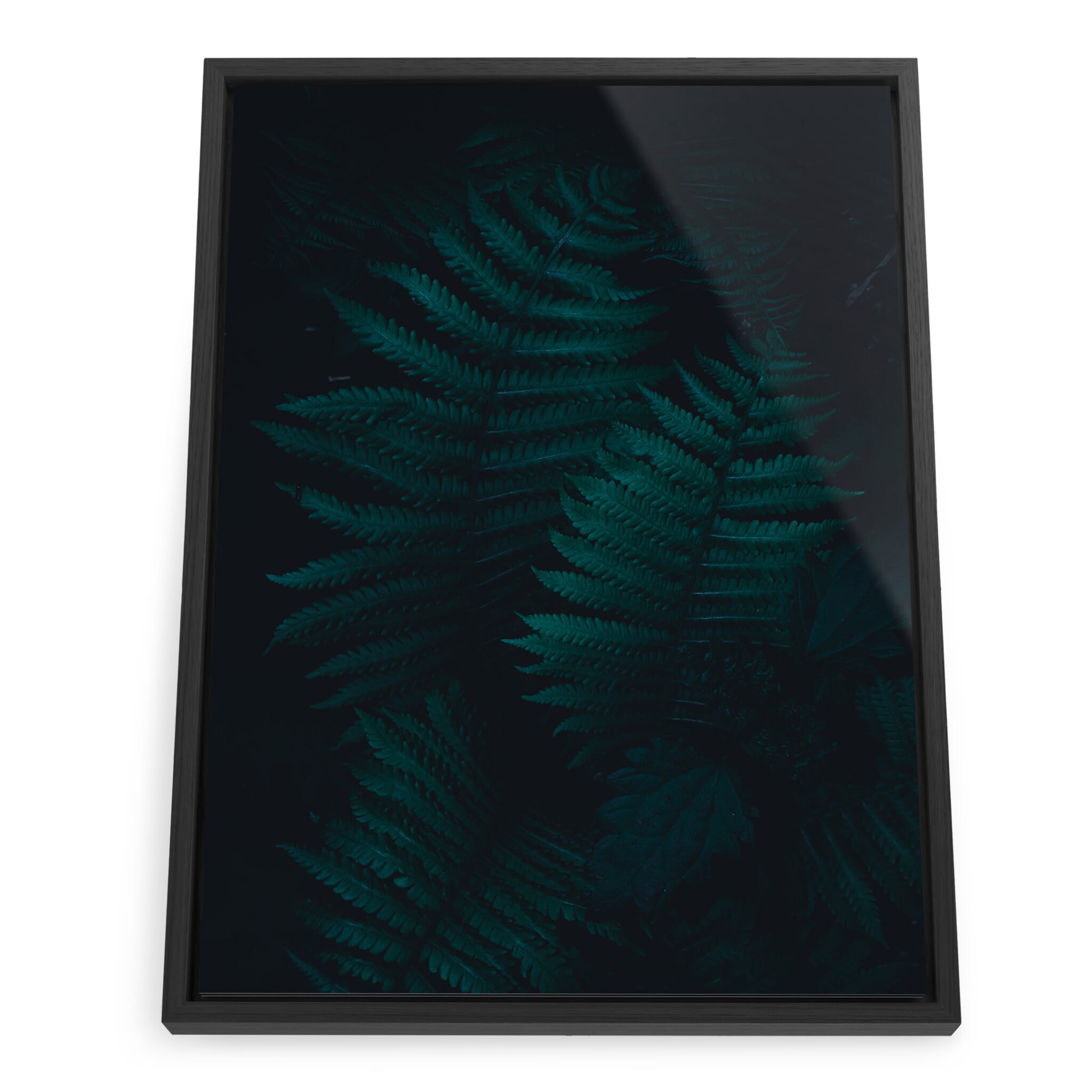 Framed photo print of fern leaves in dark and atmospheric light