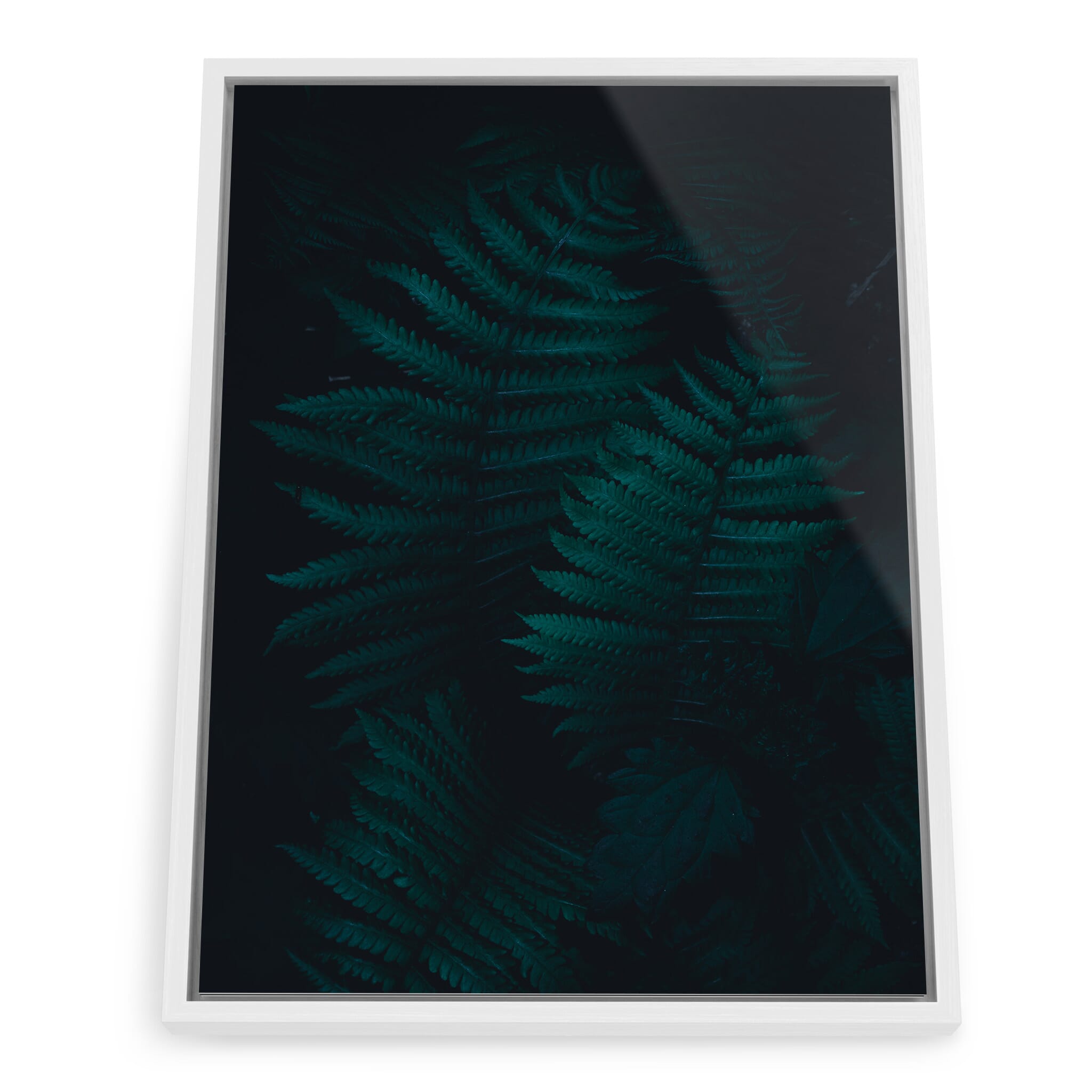 Framed photo print of forest details and subtle contrasts
