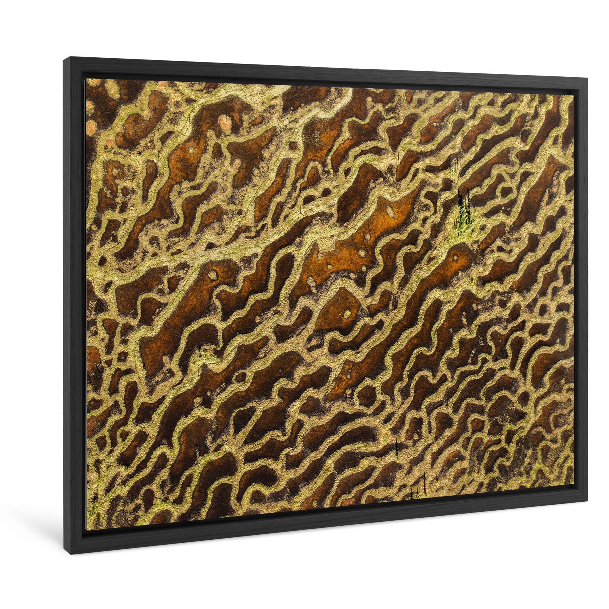 Framed photo print of green moss and brown-toned wetland textures