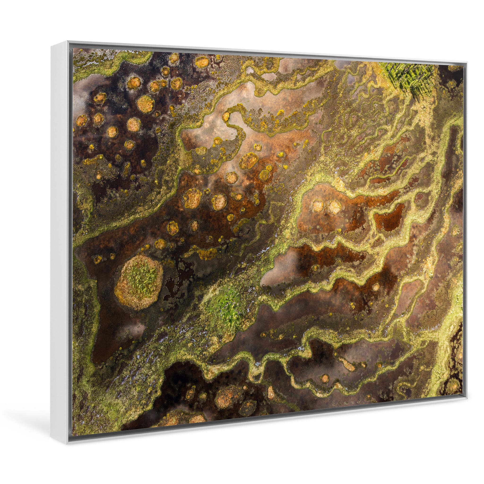 Framed photo print of Alaska’s raw and intricate wetland structures