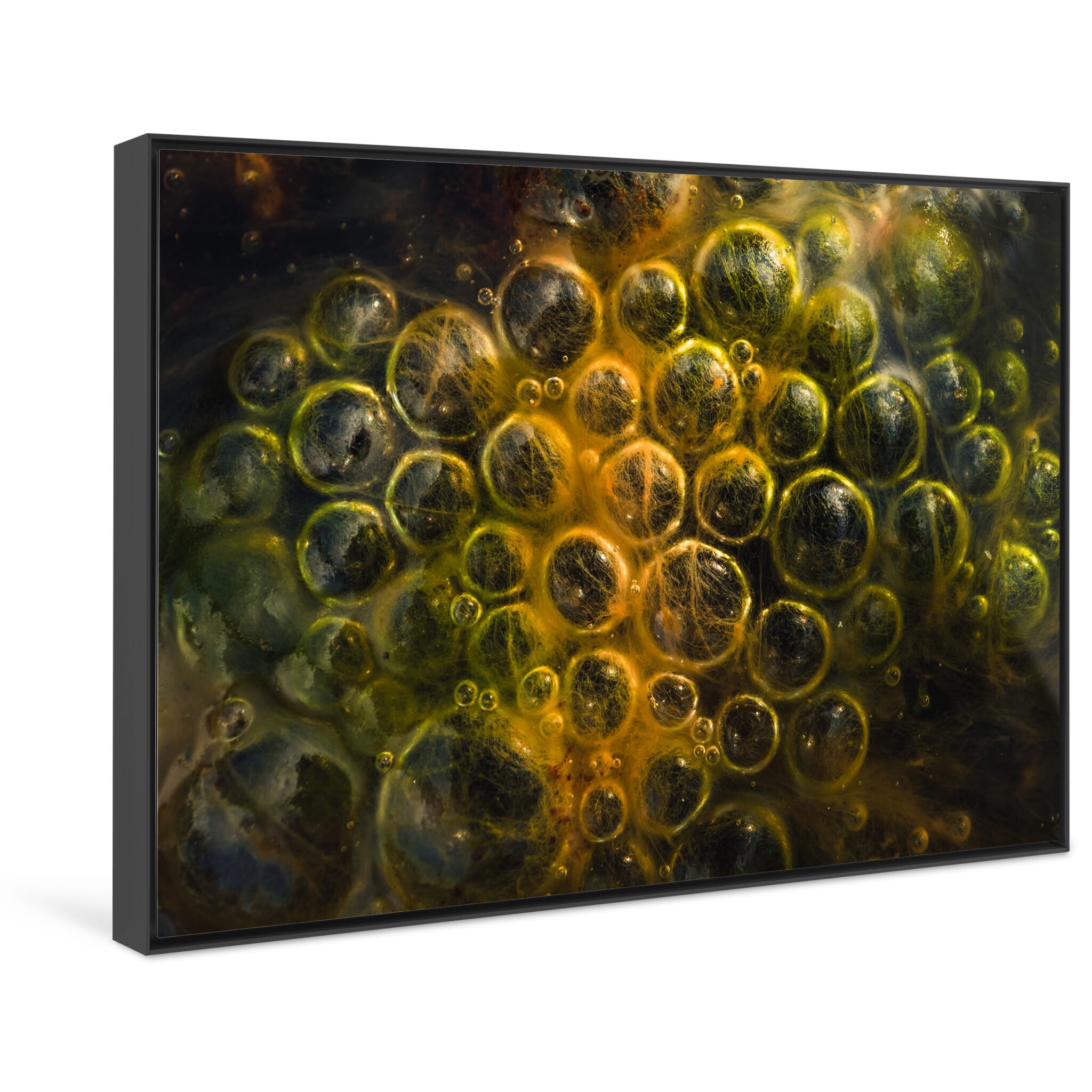 Framed photo print of close-up moorland scene showing organic forms and air pockets