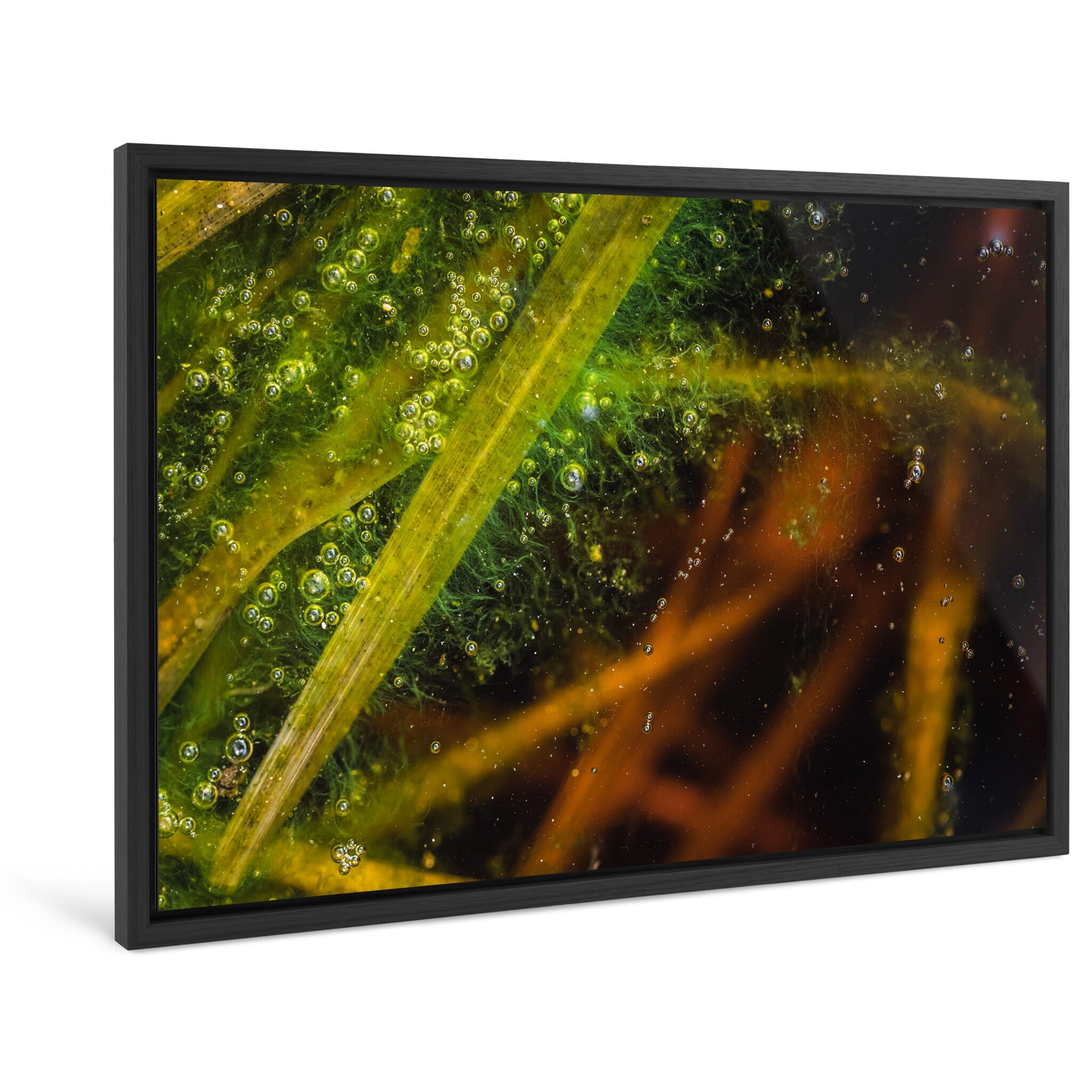 Framed photo print of abstract macro details shaped by trapped bubbles and plants