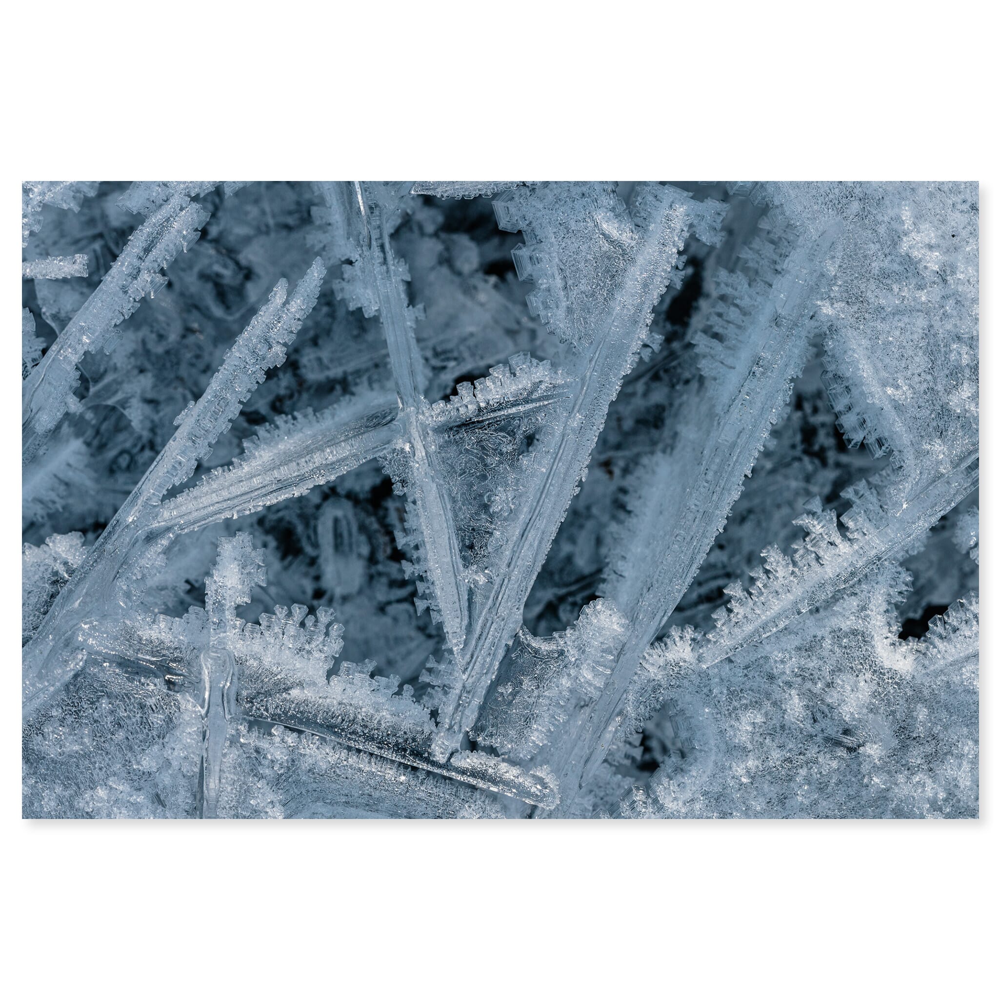 Fine art print of delicate macro view of ice crystal patterns